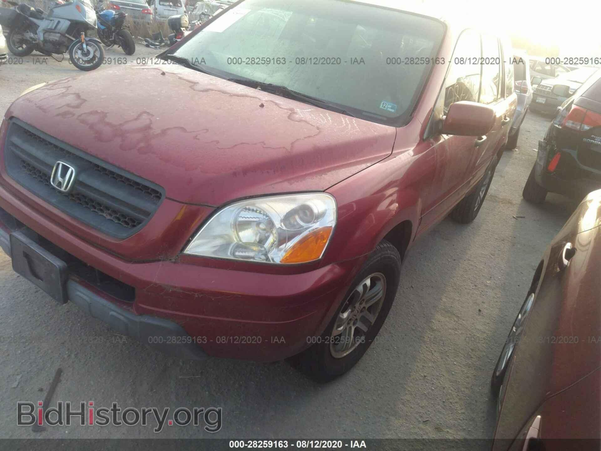 2005 HONDA PILOT - VIN: 5FNYF18625B005970 - Фото 2