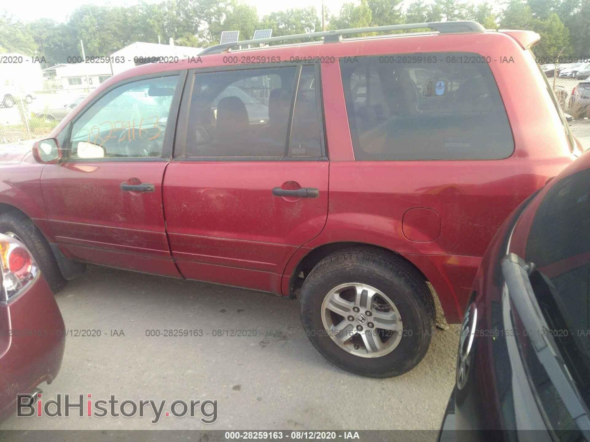 2005 HONDA PILOT - VIN: 5FNYF18625B005970 - Фото 3