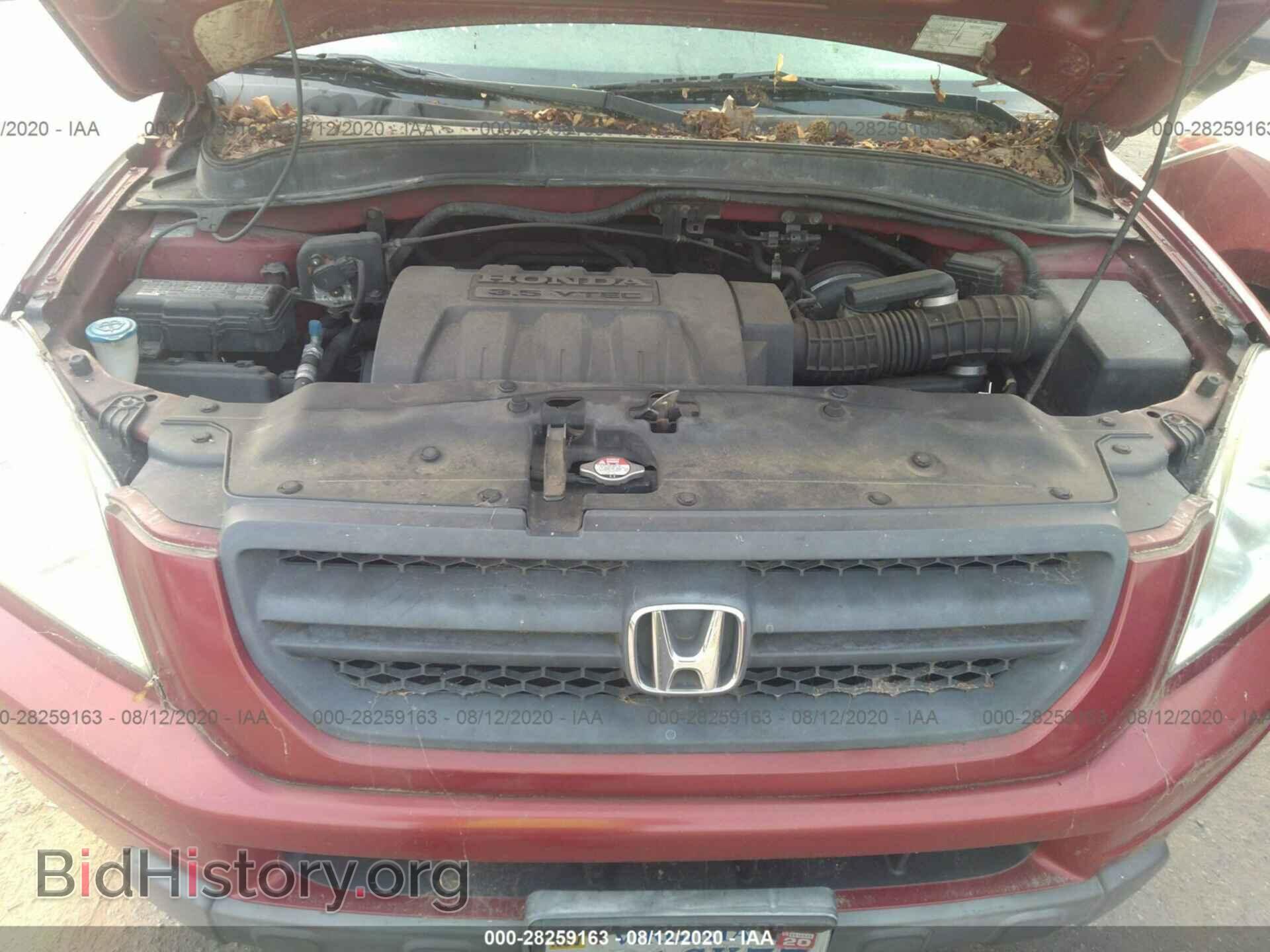 2005 HONDA PILOT - VIN: 5FNYF18625B005970 - Фото 10