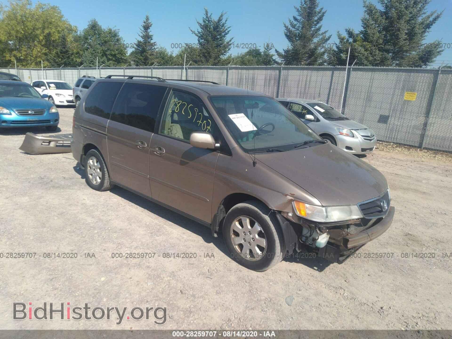 Photo 5FNRL18633B137257 - HONDA ODYSSEY 2003
