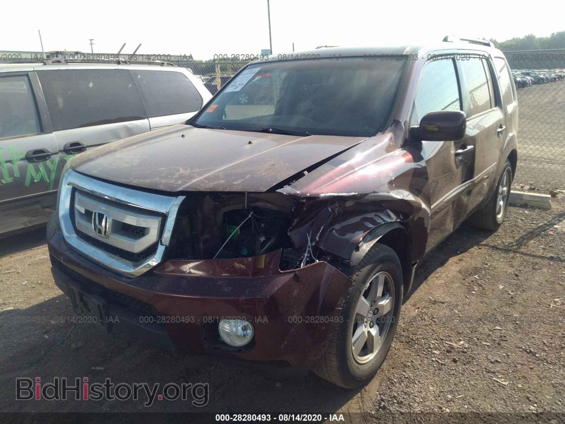 2009 HONDA PILOT - VIN: 5FNYF48699B038567 - Фото 2
