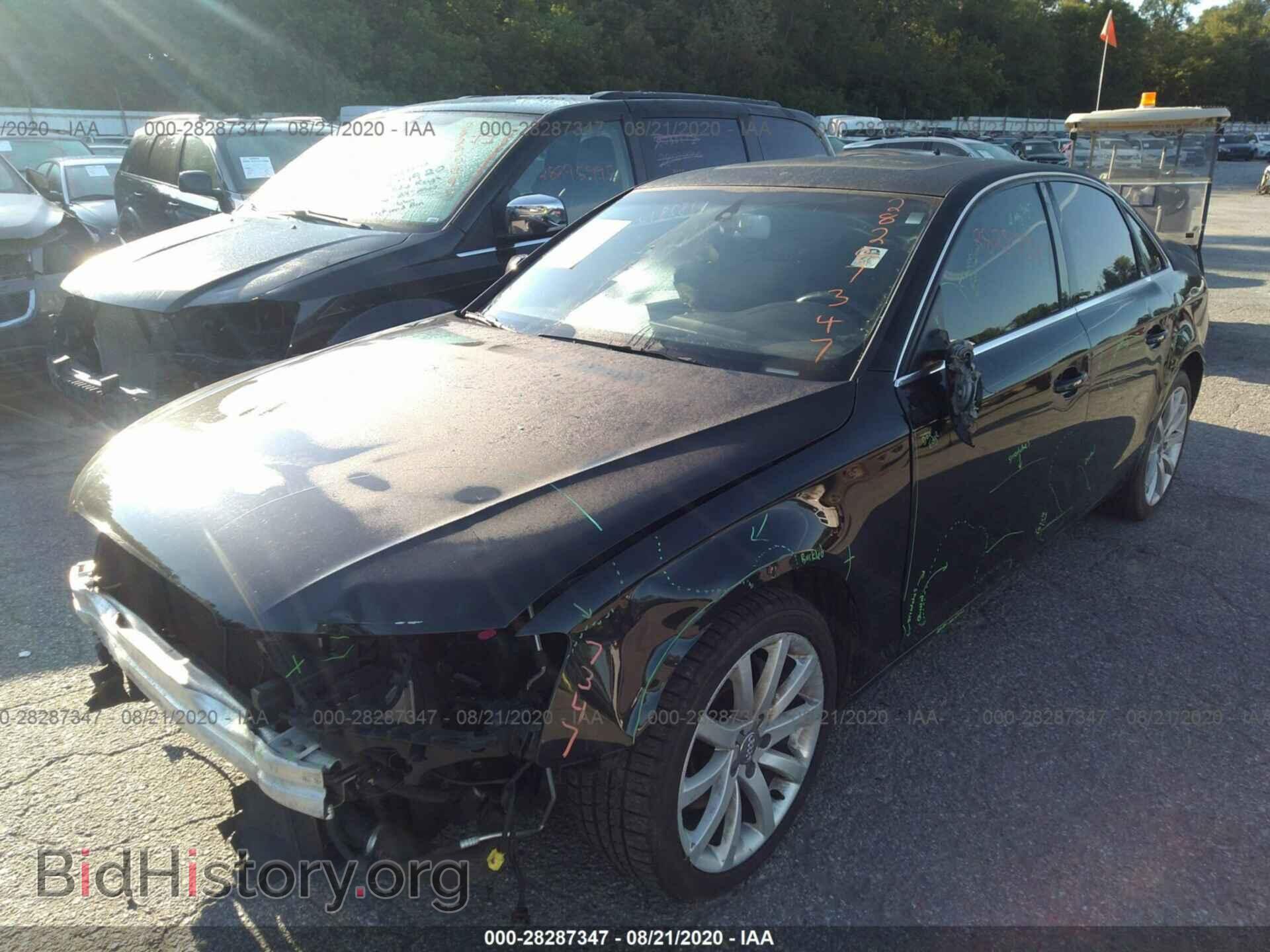 2013 AUDI A4 - VIN: WAUFFAFL5DN015826 - Фото 2