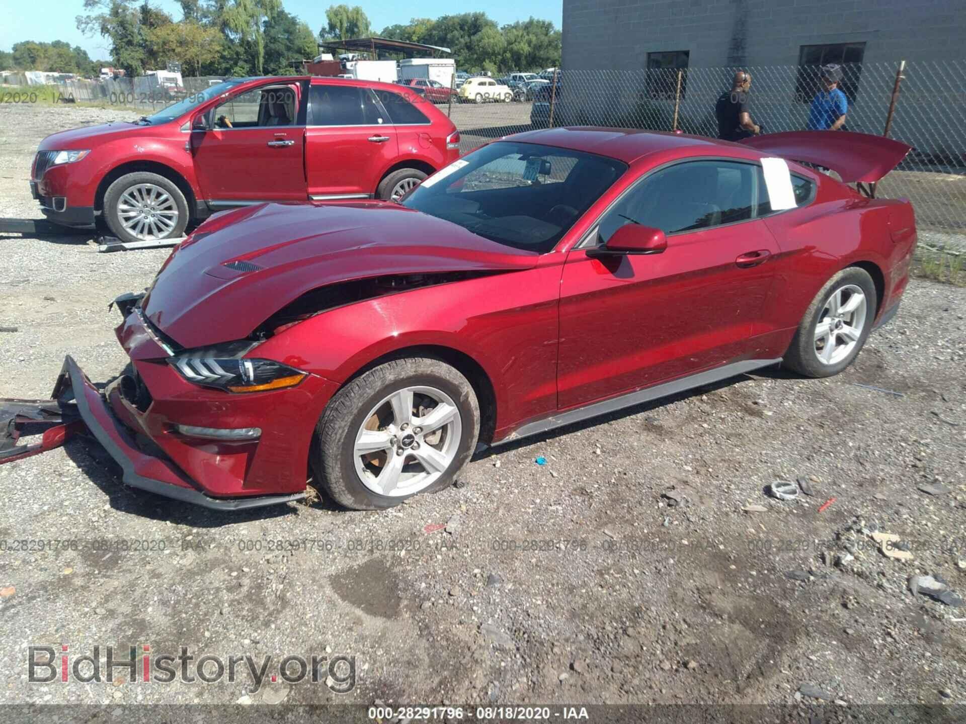 2019 FORD MUSTANG - VIN: 1FA6P8TH4K5173294 - Photo 2