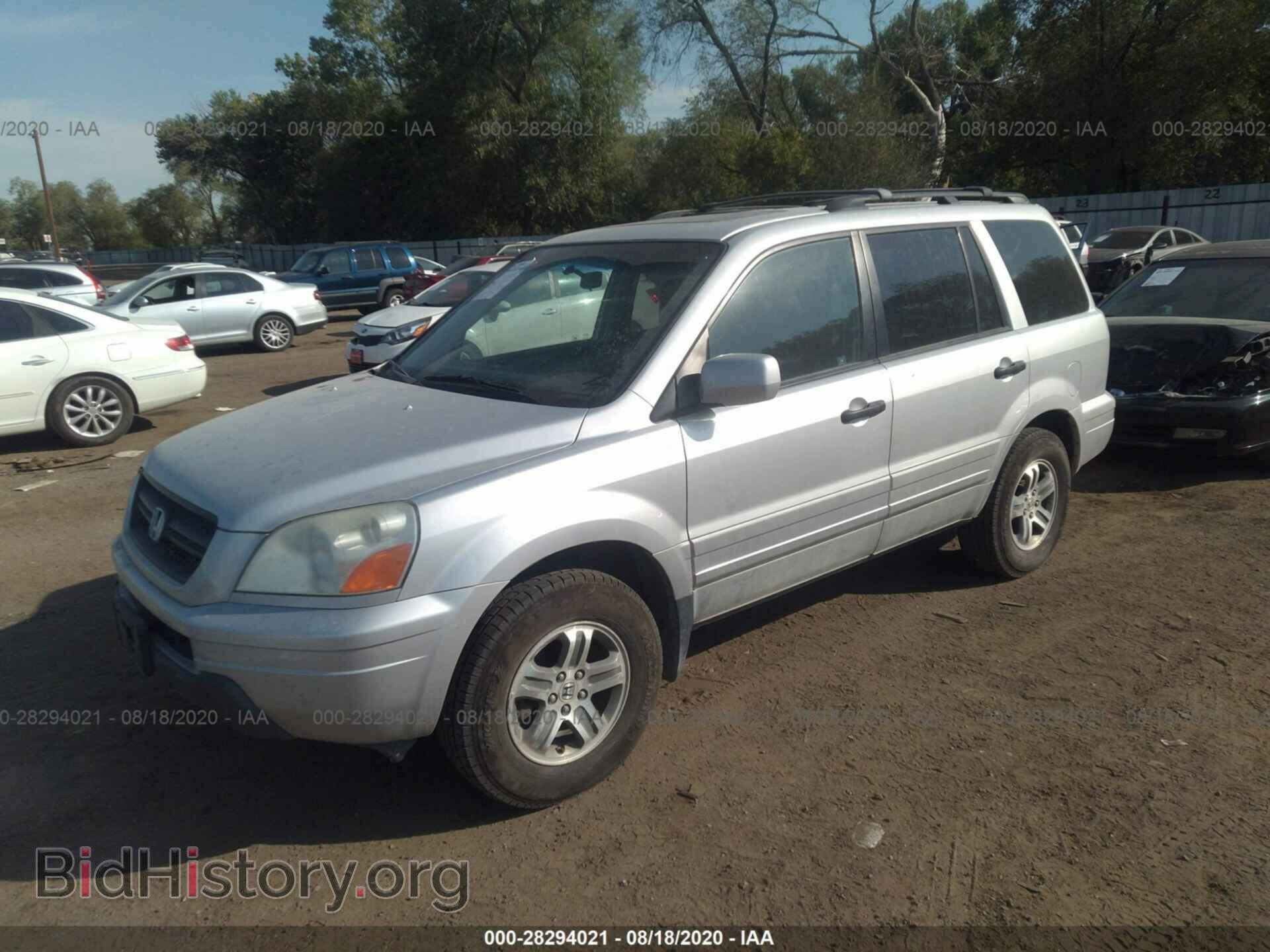 2005 HONDA PILOT - VIN: 5FNYF18565B042009 - Фото 2