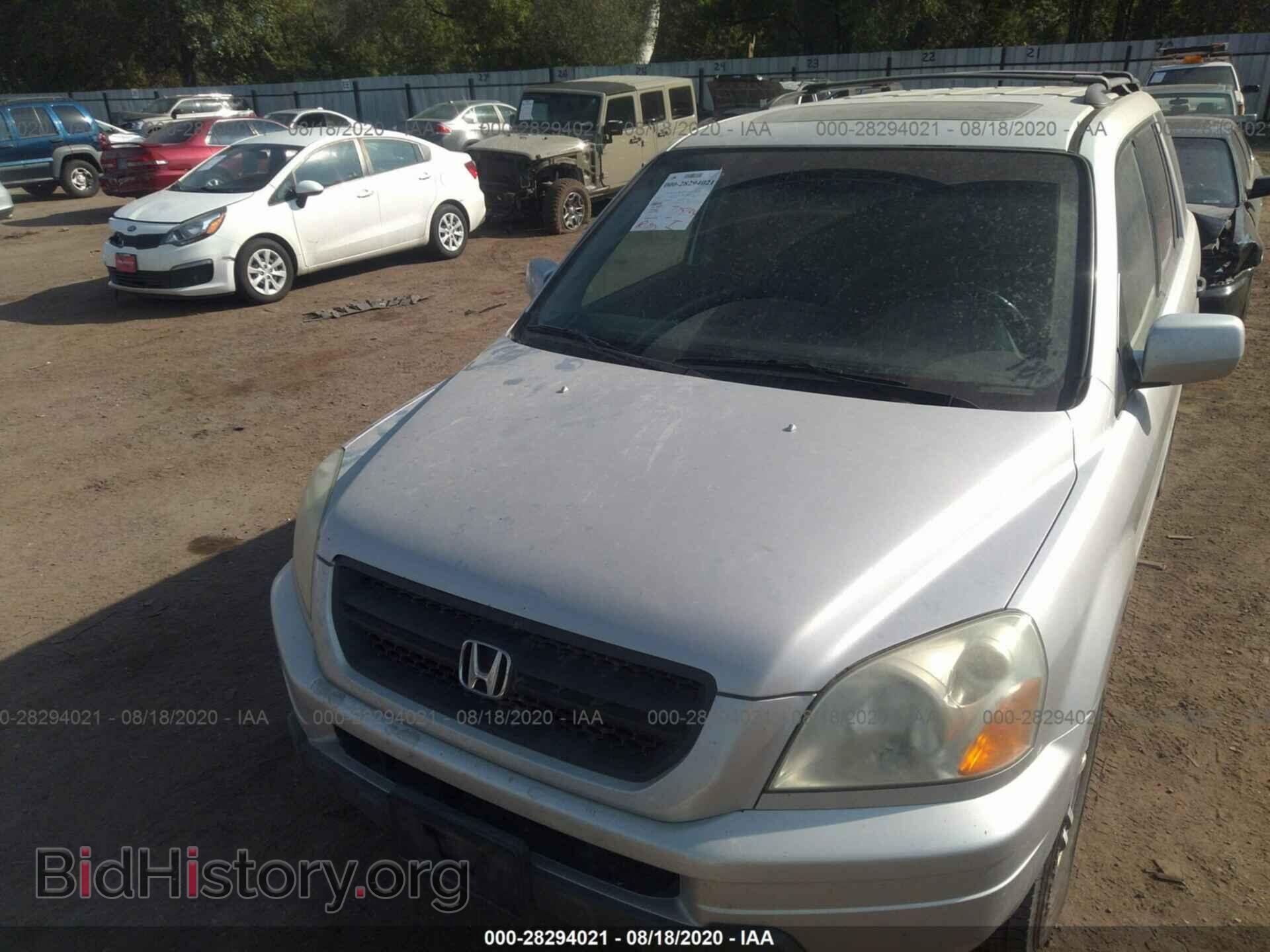 2005 HONDA PILOT - VIN: 5FNYF18565B042009 - Фото 6