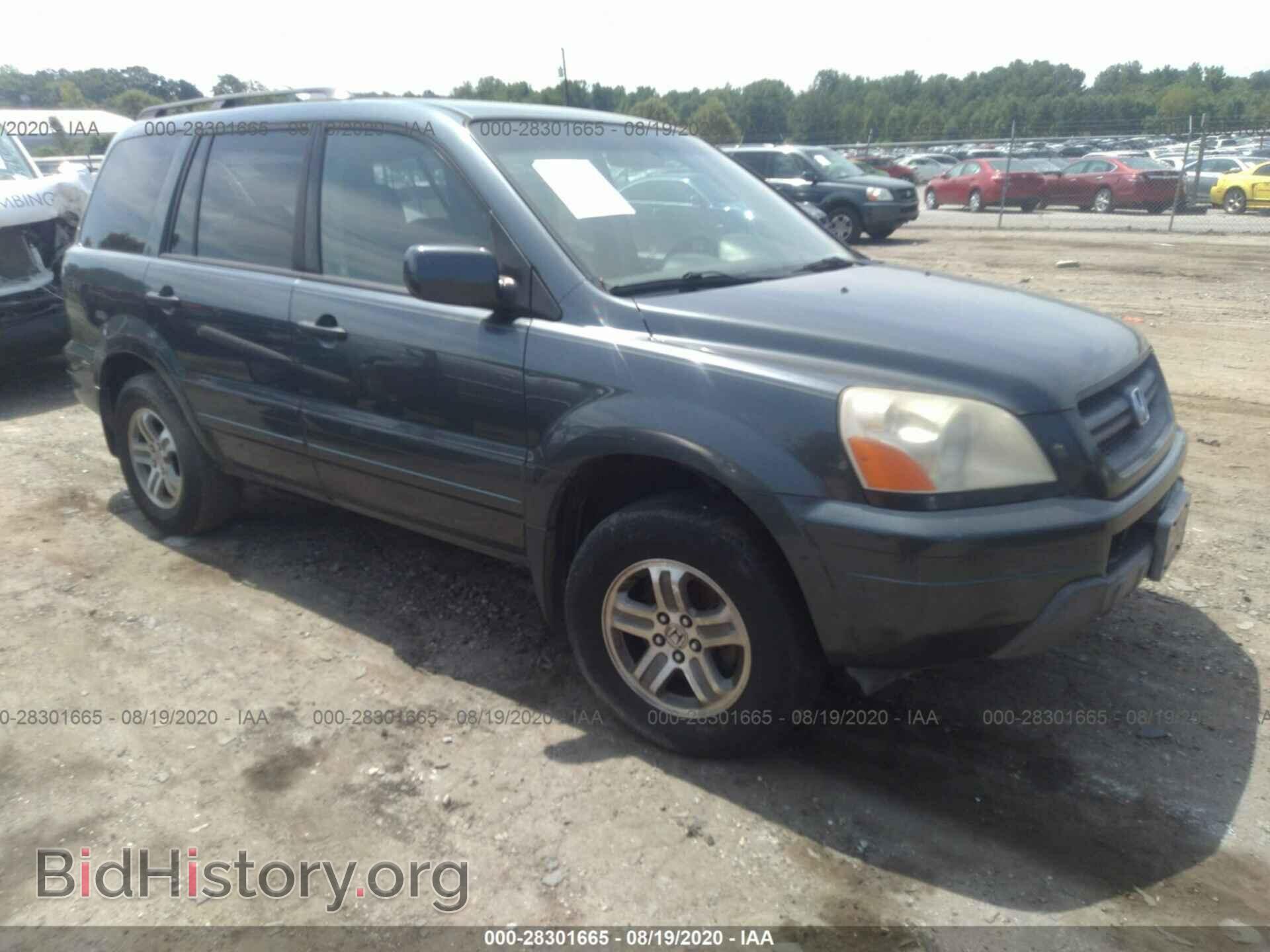 Фотография 5FNYF18695B023236 - HONDA PILOT 2005