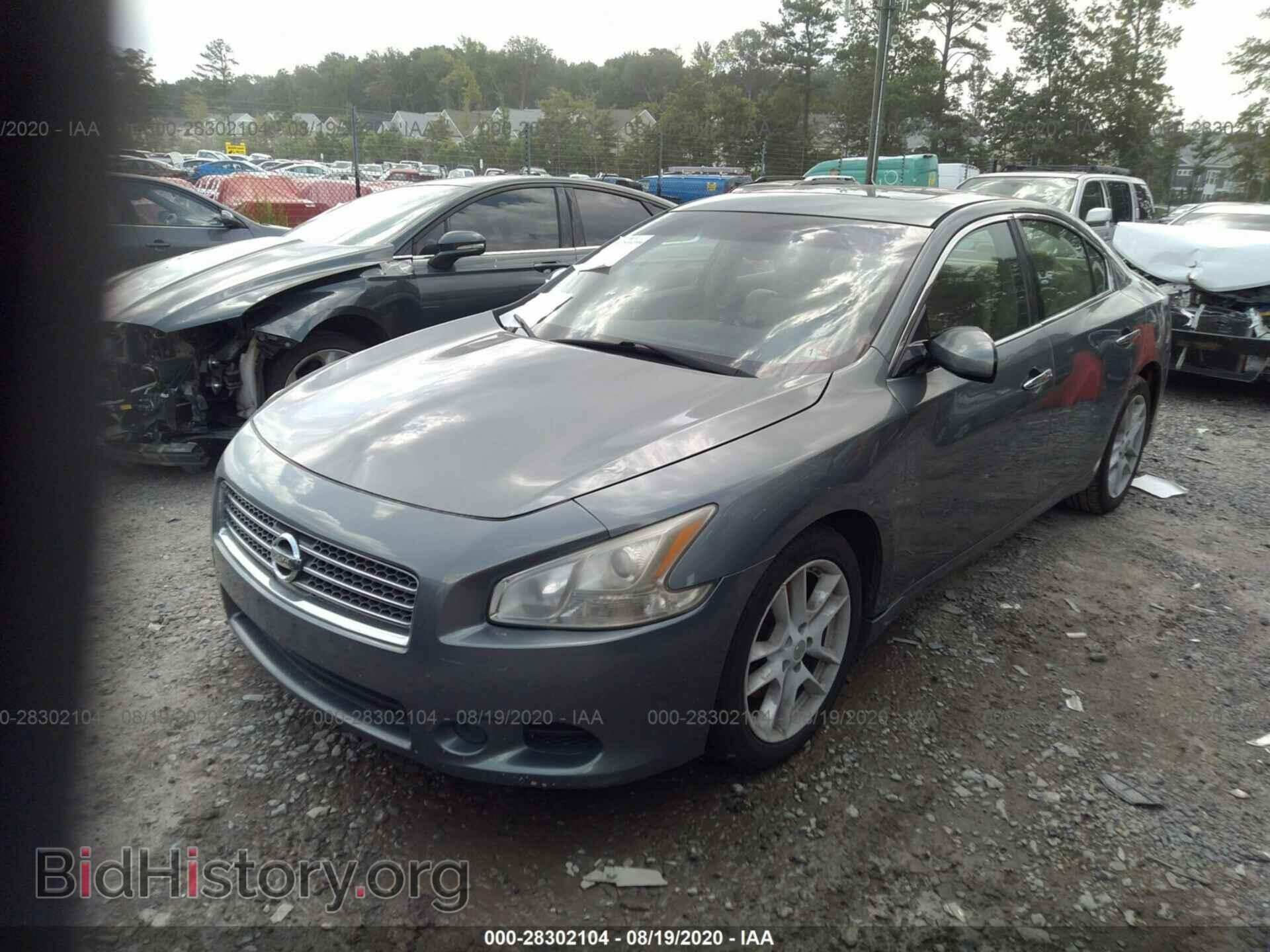 2010 NISSAN MAXIMA - VIN: 1N4AA5AP1AC804033 - Фото 2