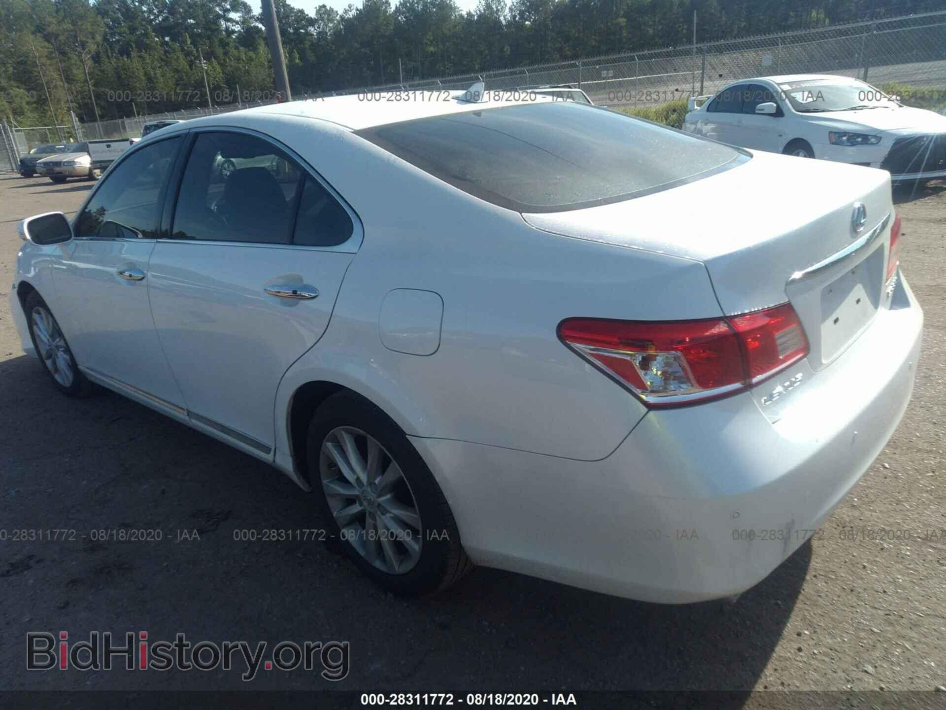 2010 LEXUS ES 350 - VIN: JTHBK1EG7A2345853 - Фото 3