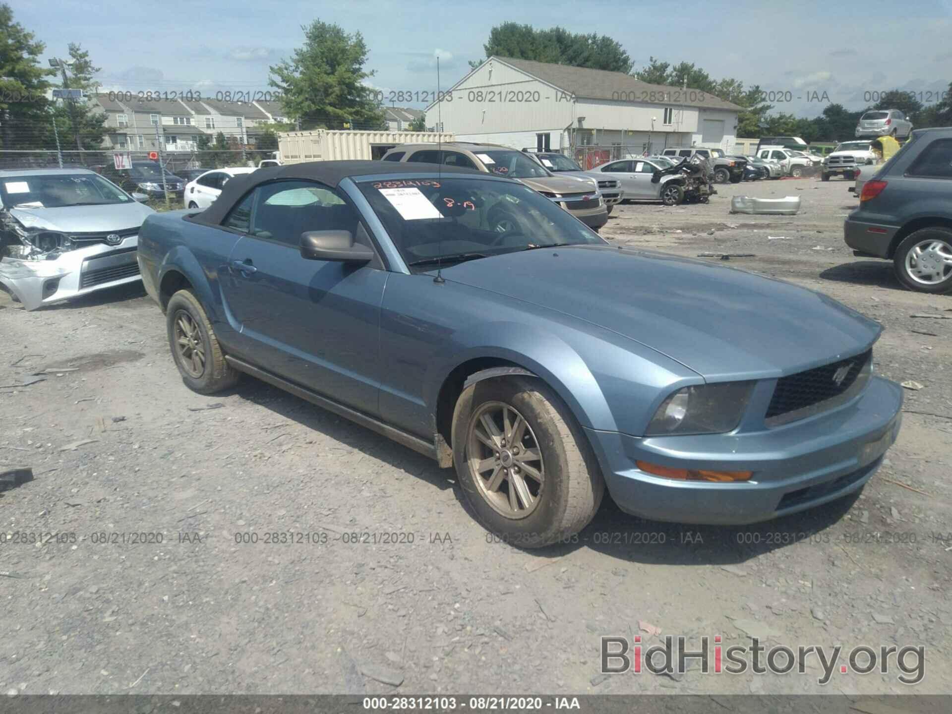 Photo 1ZVFT84N175225902 - FORD MUSTANG 2007