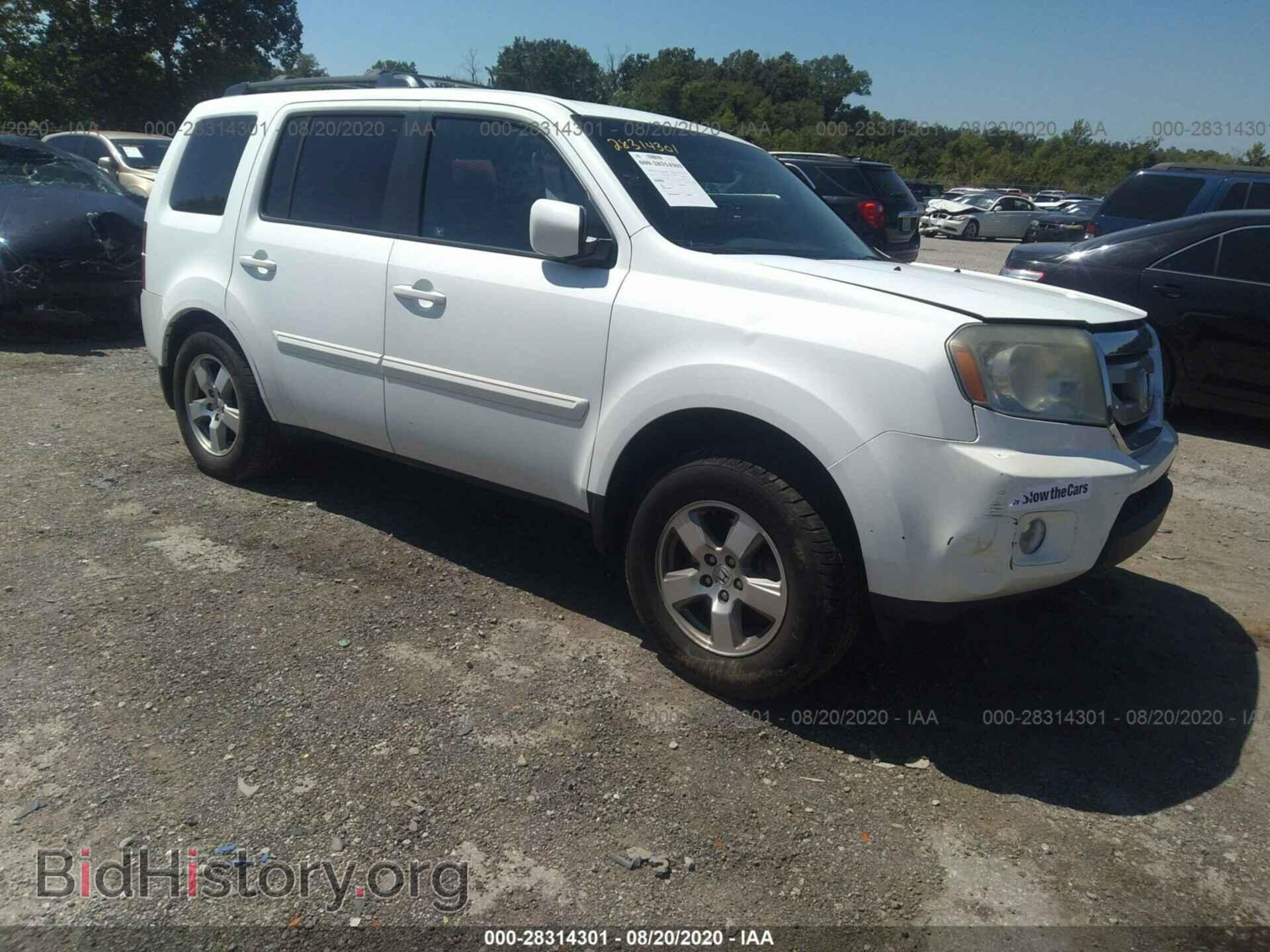 Фотография 5FNYF3H43BB043911 - HONDA PILOT 2011