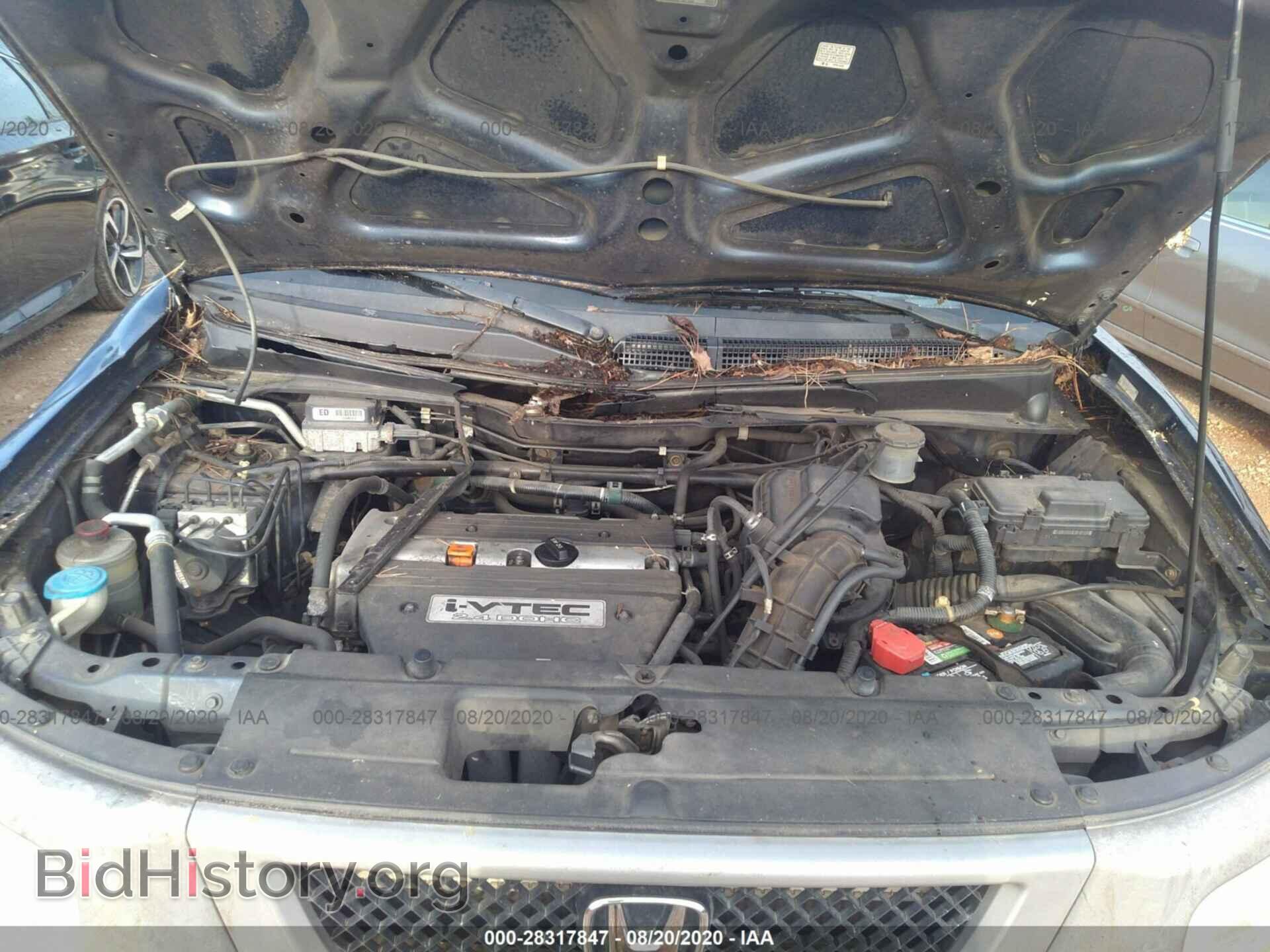 2003 HONDA ELEMENT - VIN: 5J6YH28593L022809 - Photo 10