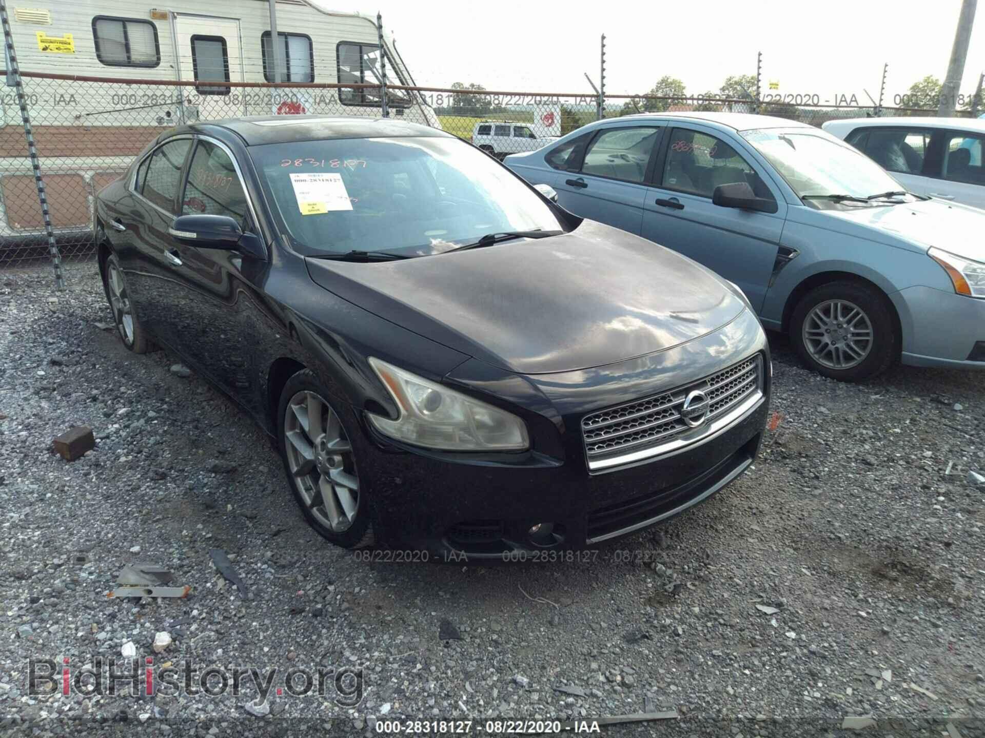 Фотография 1N4AA5AP1AC827084 - NISSAN MAXIMA 2010
