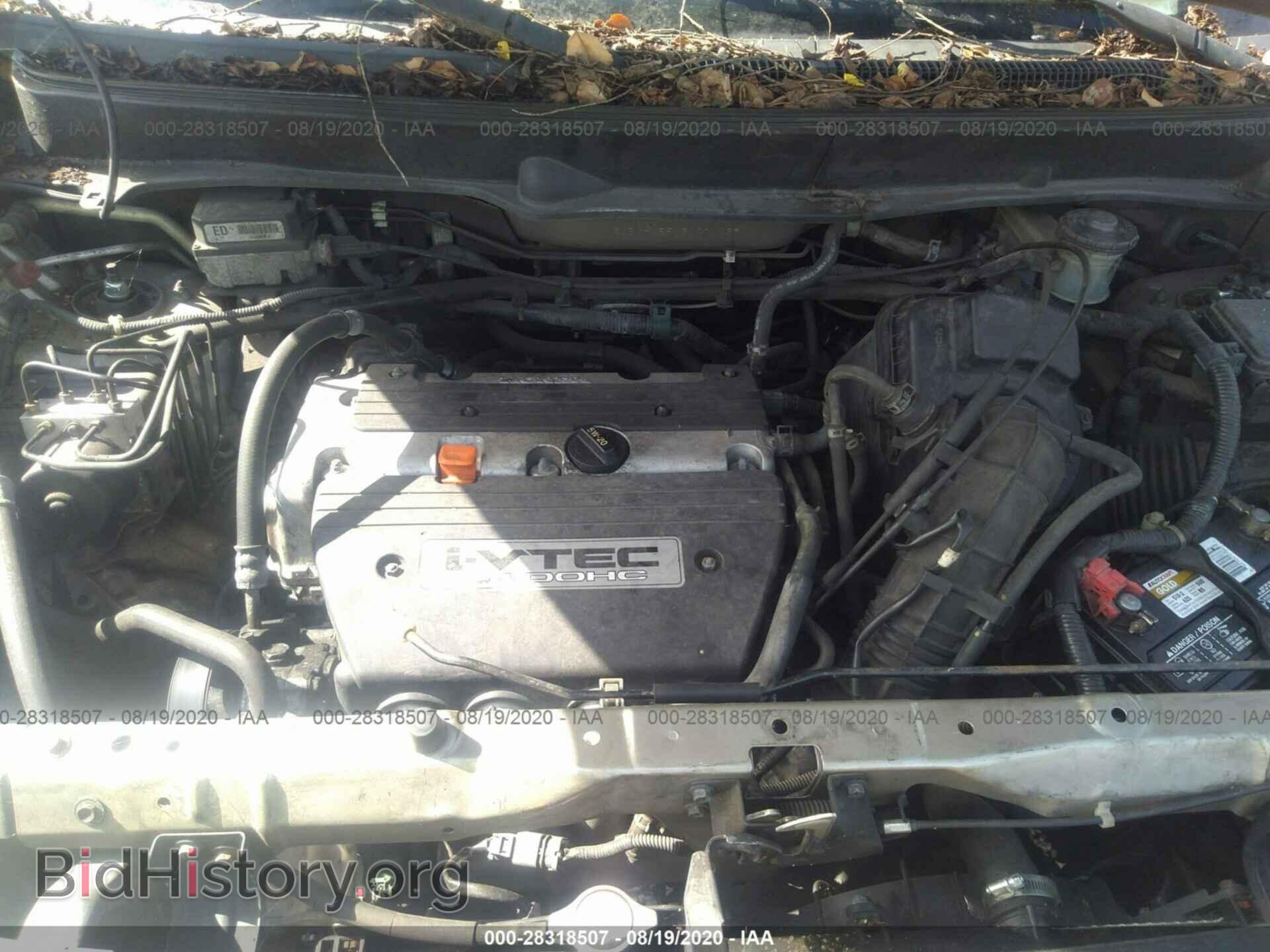 2003 HONDA ELEMENT - VIN: 5J6YH18543L001439 - Фото 10