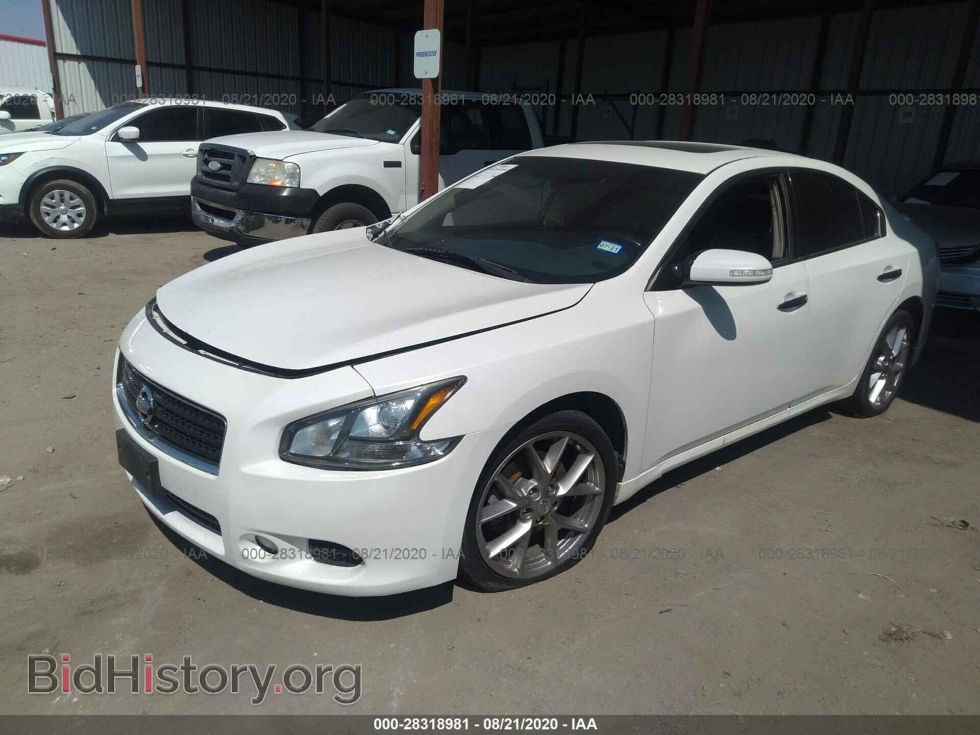 2011 NISSAN MAXIMA - VIN: 1N4AA5AP5BC854967 - Фото 2