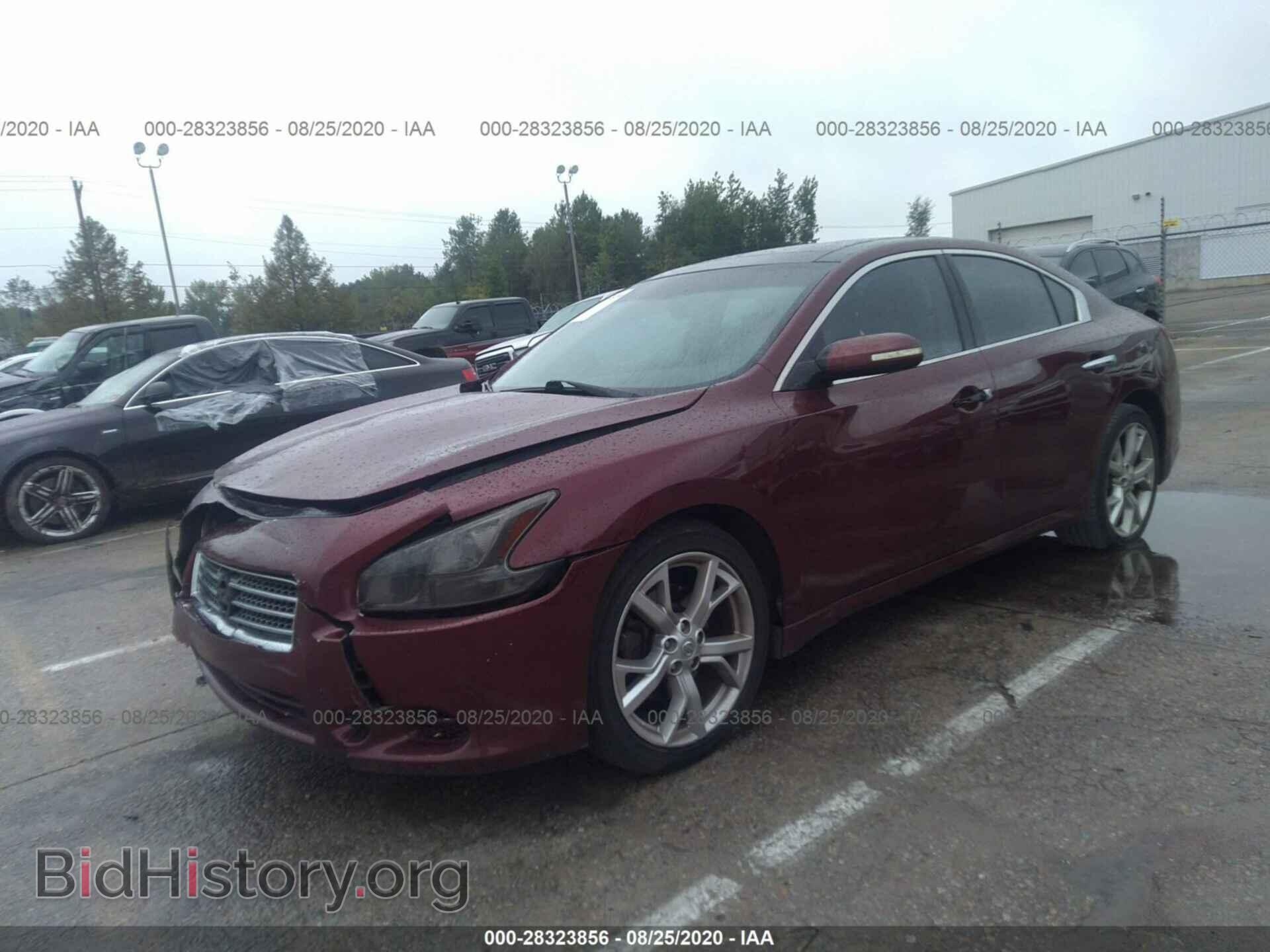 2009 NISSAN MAXIMA - VIN: 1N4AA51EX9C815638 - Фото 2