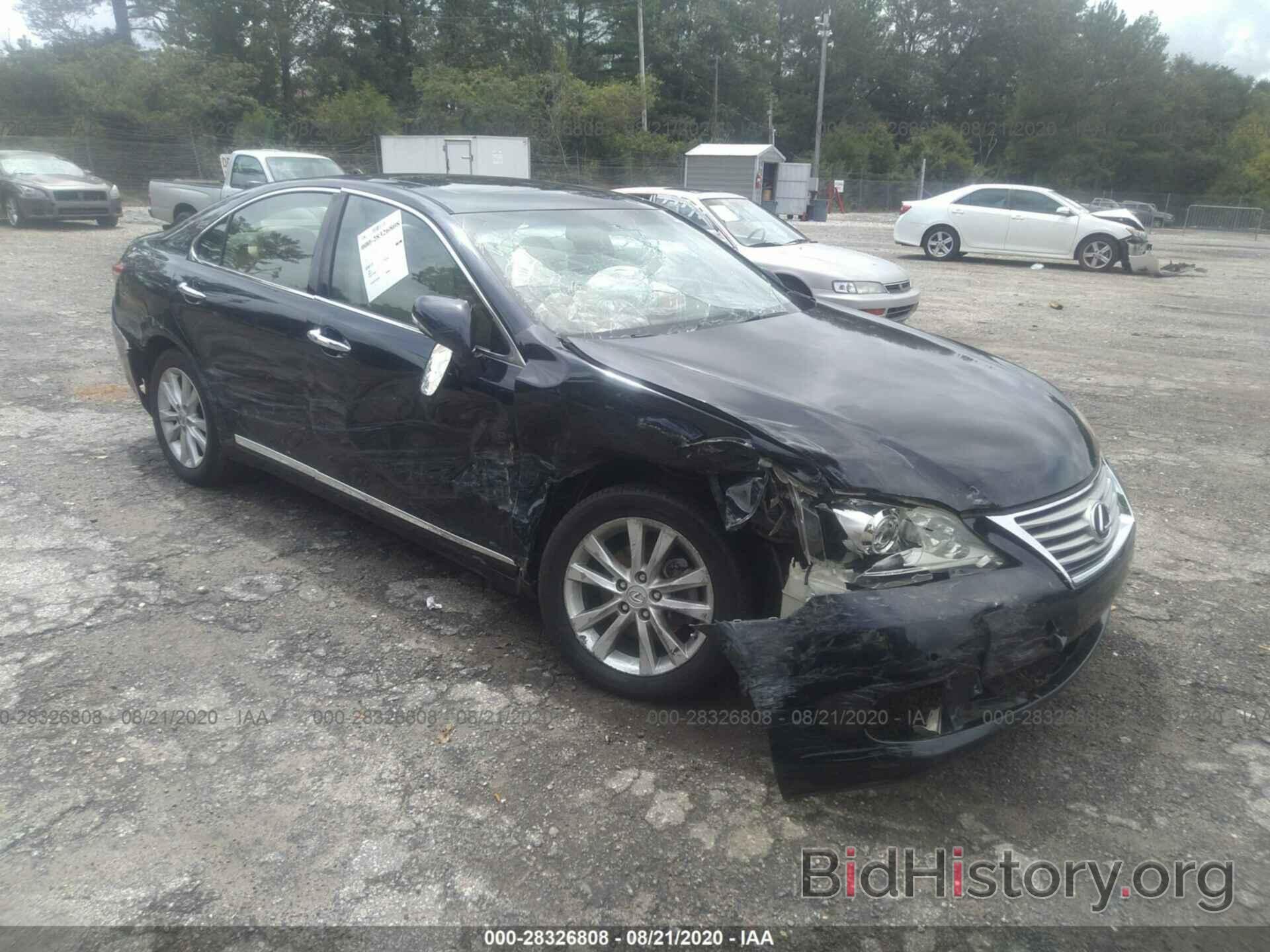 Фотография JTHBK1EG1A2411121 - LEXUS ES 350 2010