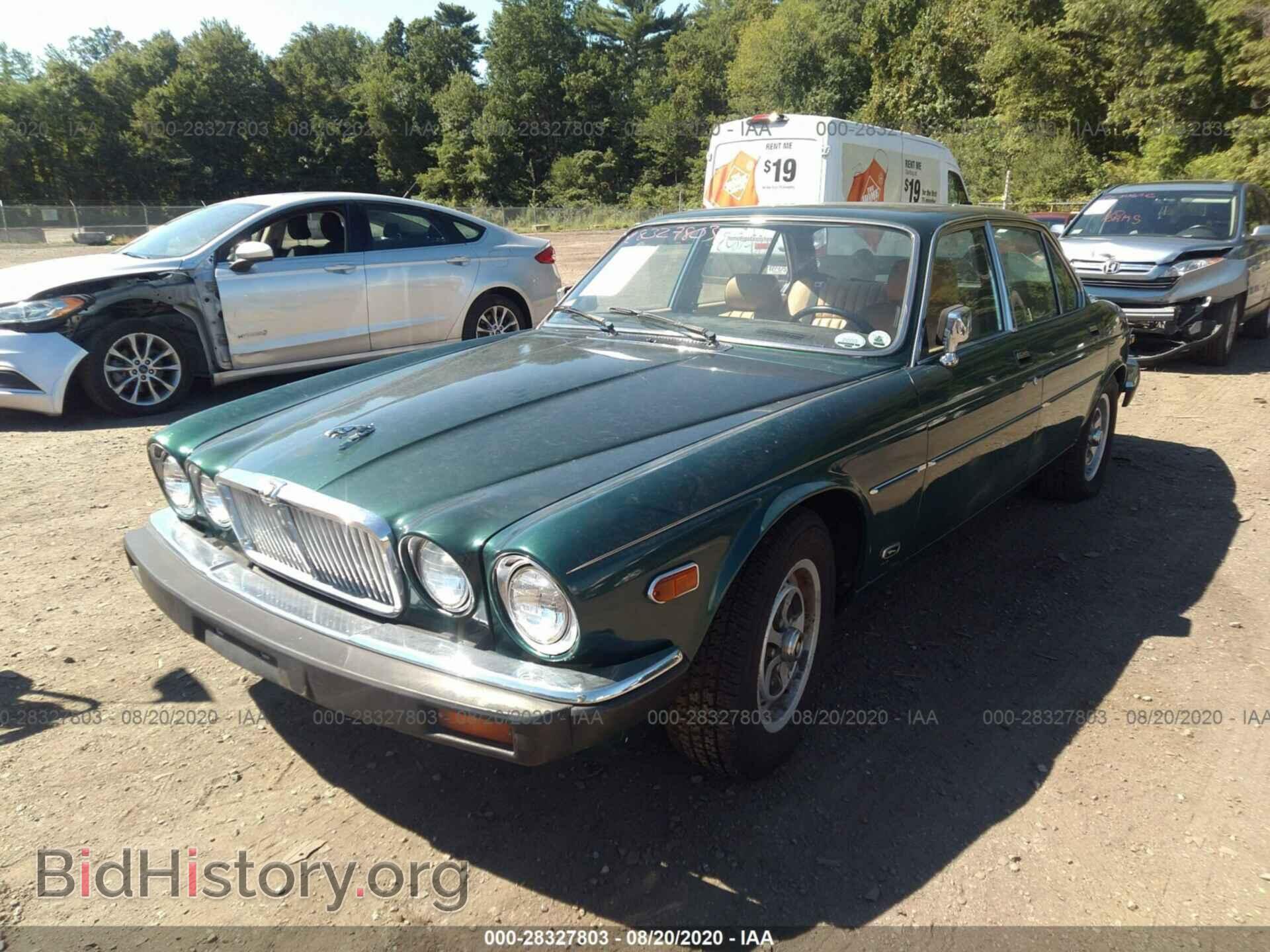 1983 JAGUAR XJ6 - VIN: SAJAV1345DC348800 - Фото 2
