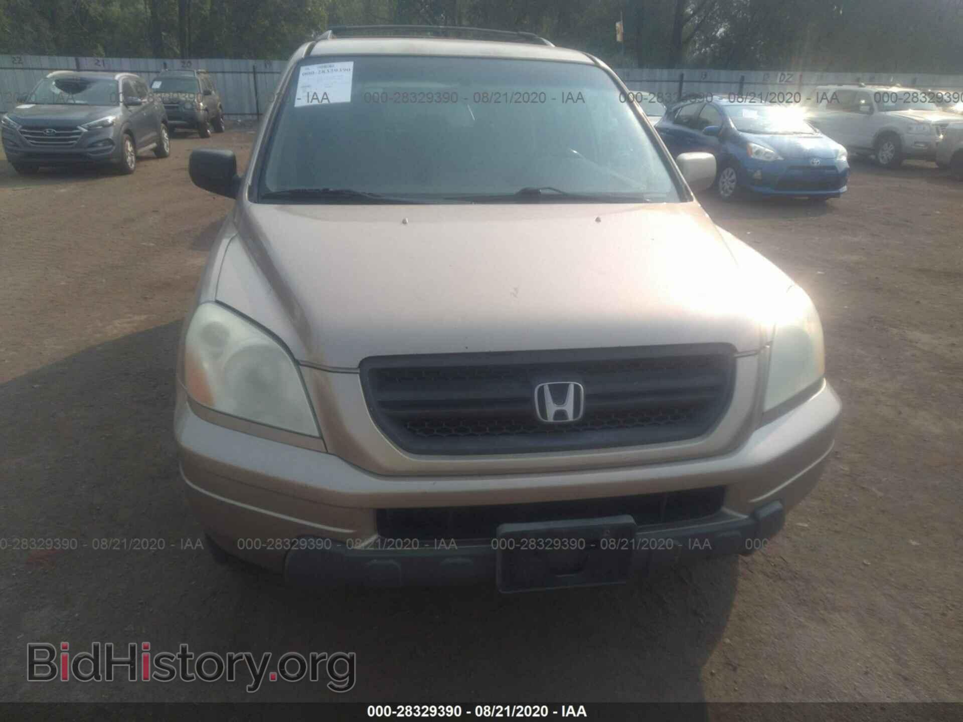2005 HONDA PILOT - VIN: 2HKYF18455H508439 - Фото 6