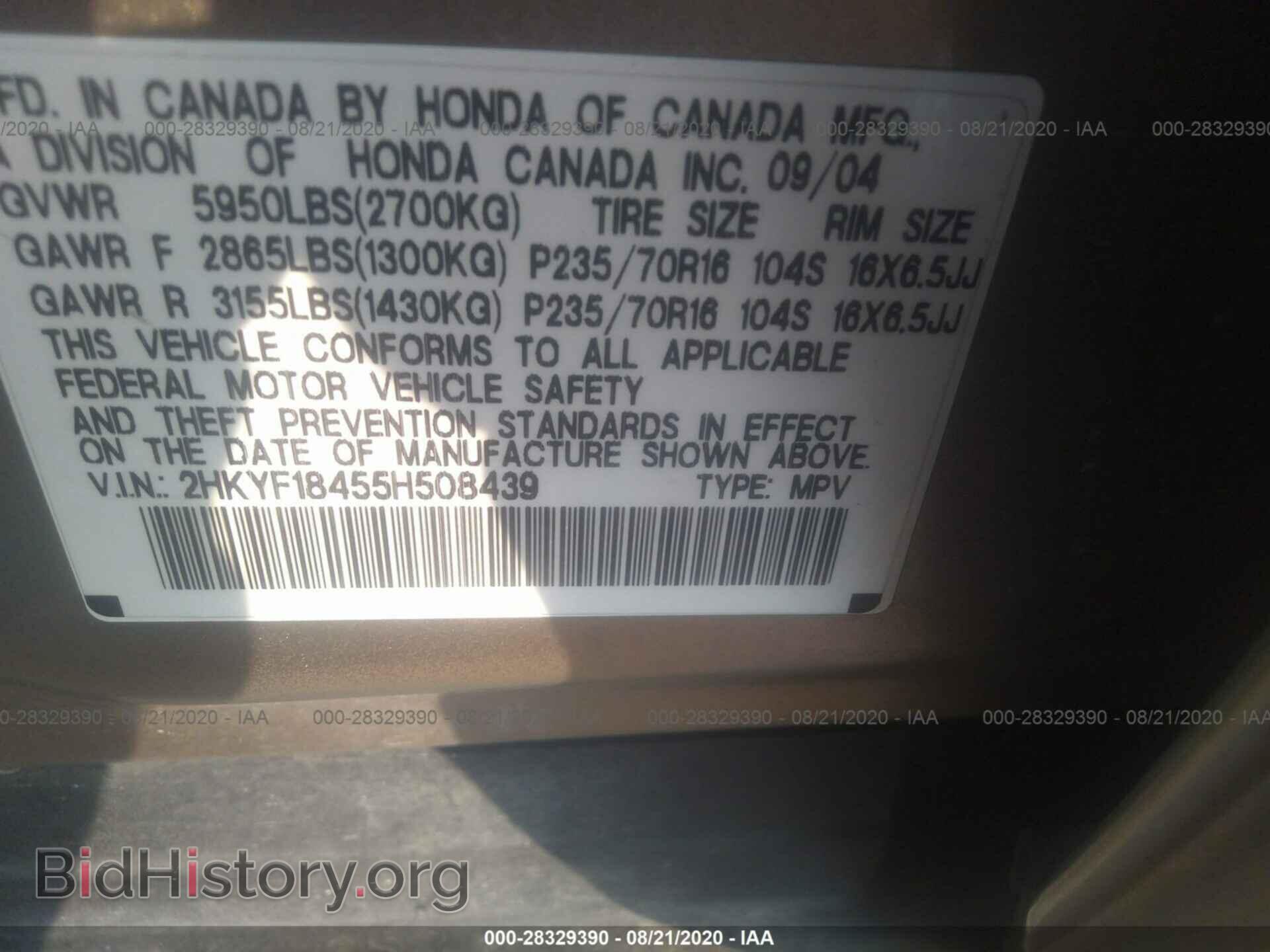 2005 HONDA PILOT - VIN: 2HKYF18455H508439 - Фото 9