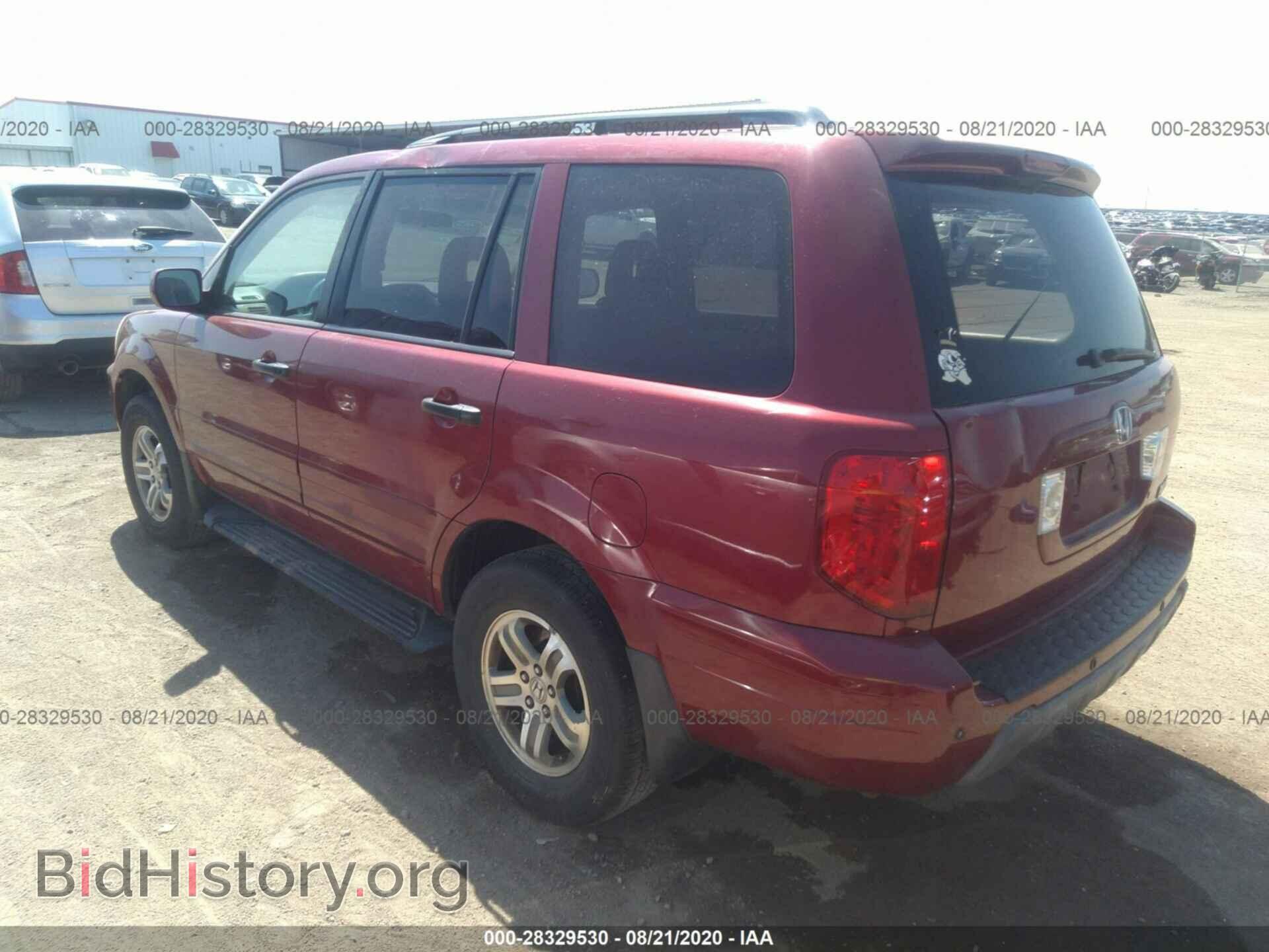 2005 HONDA PILOT - VIN: 5FNYF18545B030585 - Фото 3