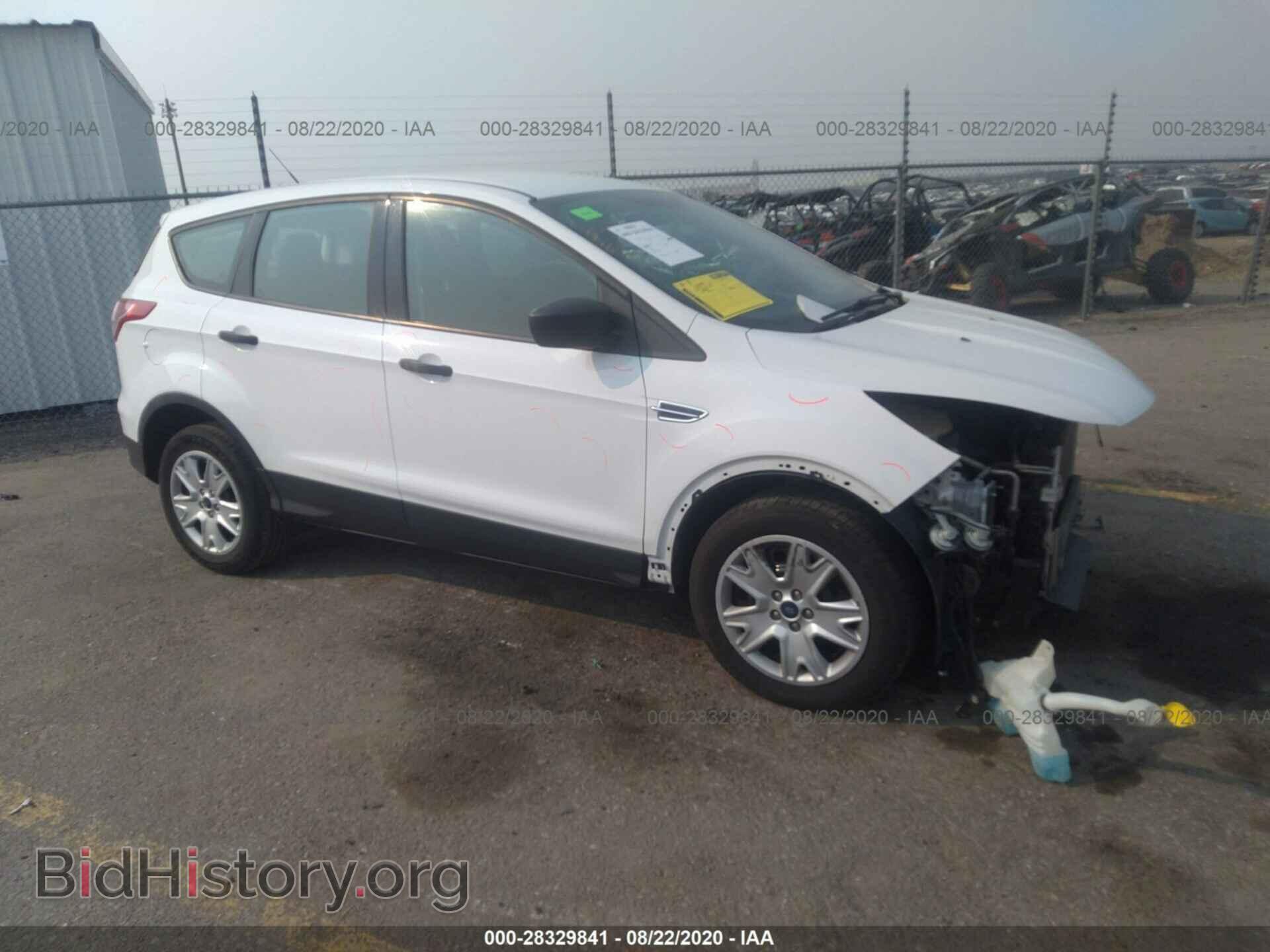 Photo 1FMCU0F73DUB55013 - FORD ESCAPE 2013
