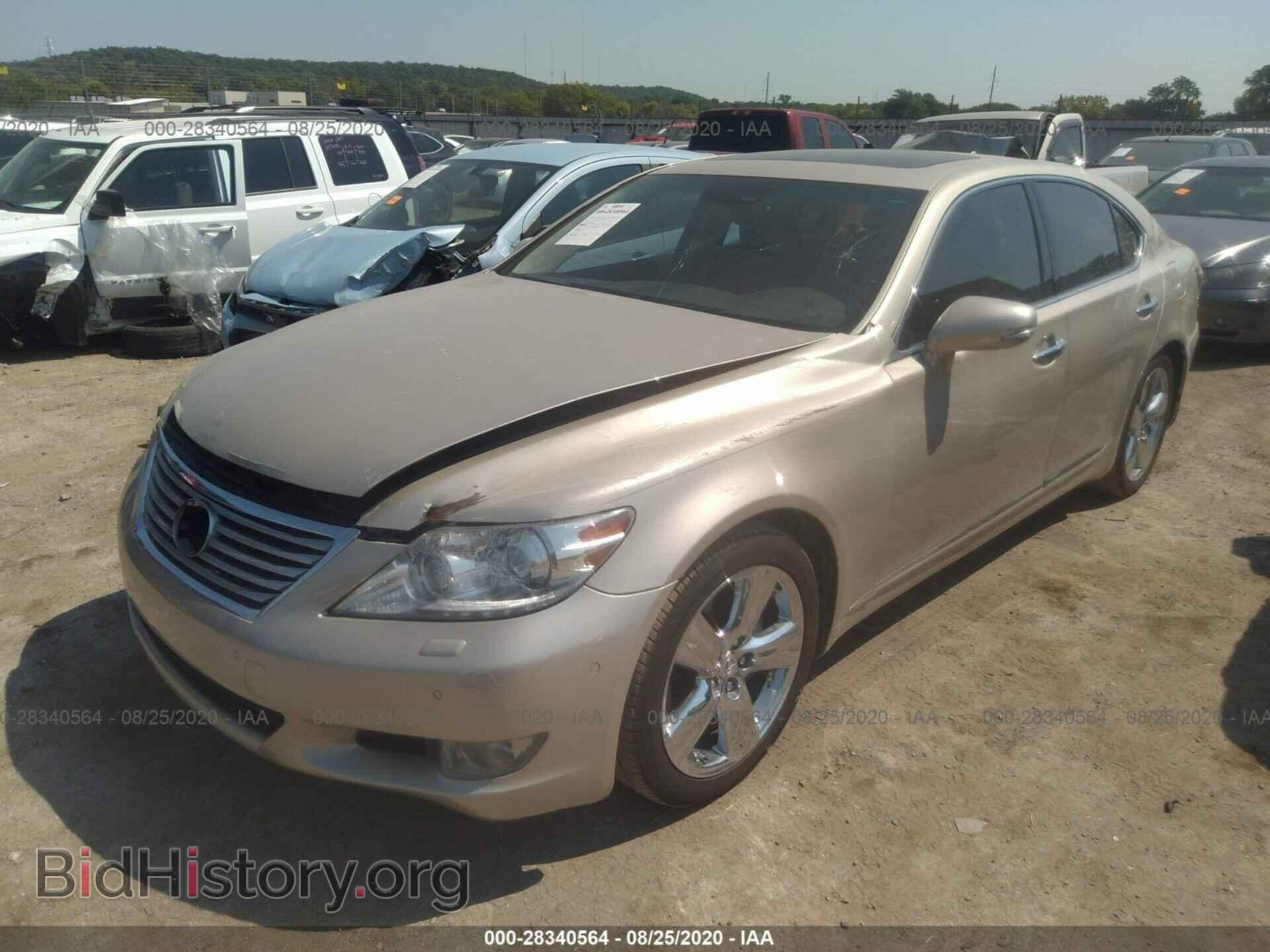 2011 LEXUS LS 460 - VIN: JTHBL5EF8B5105688 - Photo 2