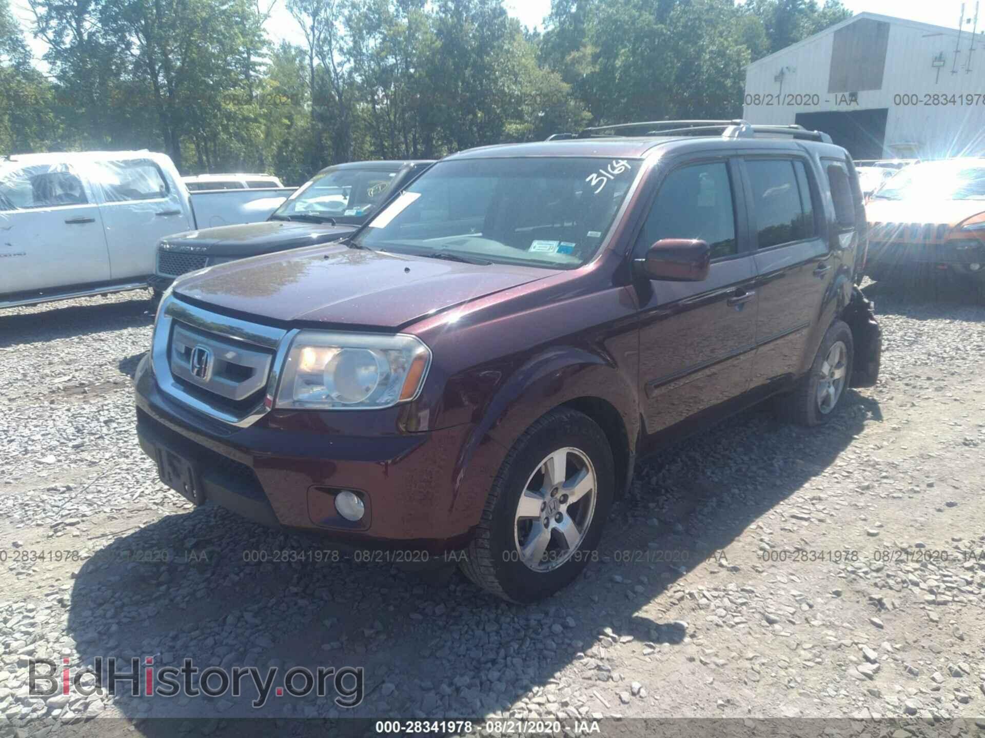 2010 HONDA PILOT - VIN: 5FNYF4H65AB007255 - Фото 2