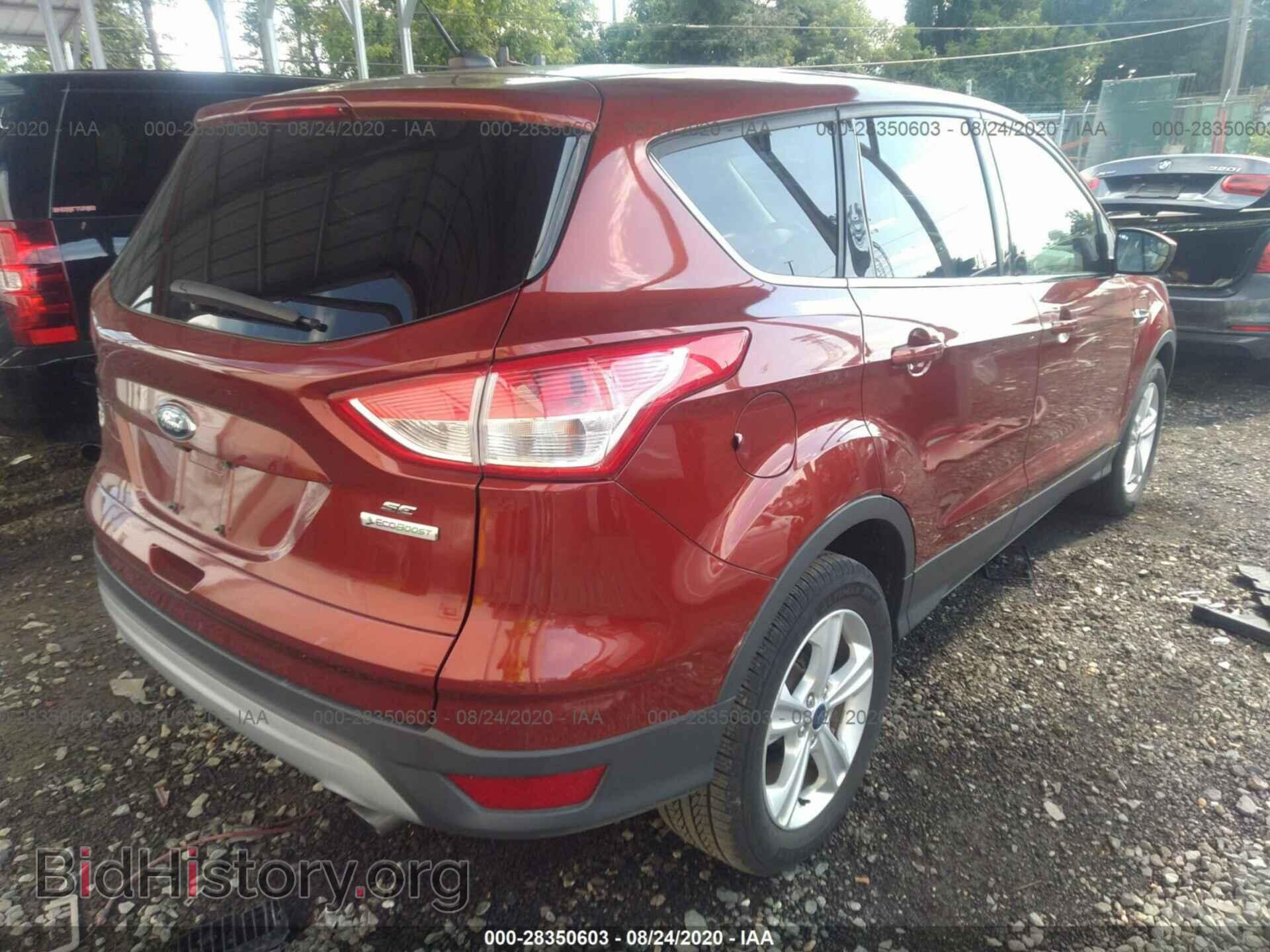 2014 FORD ESCAPE - VIN: 1FMCU0GX1EUC81032 - Фото 4