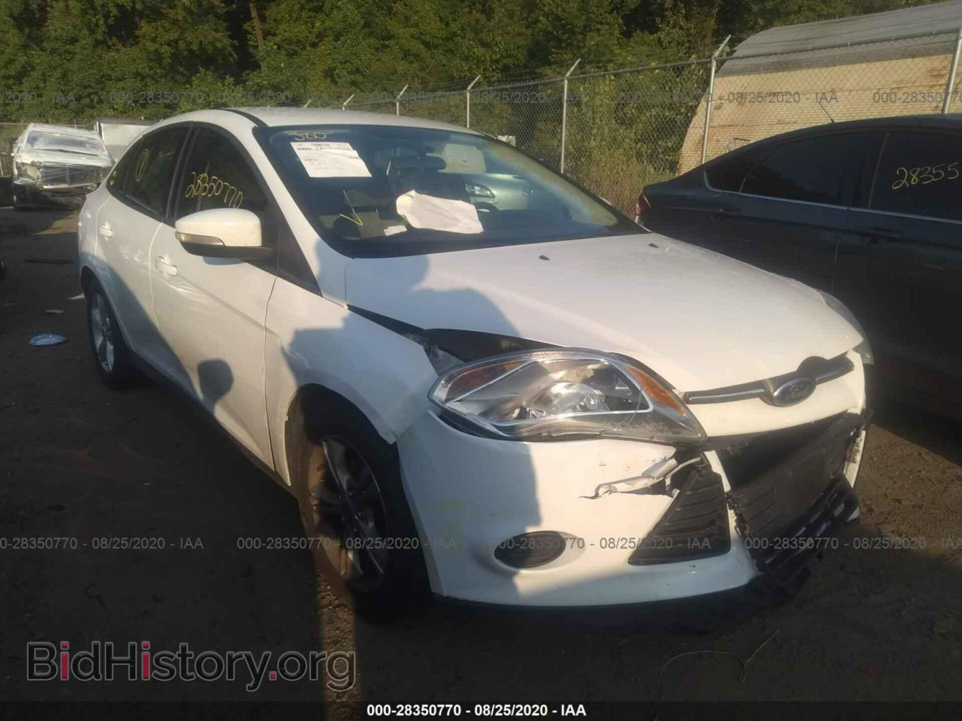 Photo 1FADP3F24DL166913 - FORD FOCUS 2013