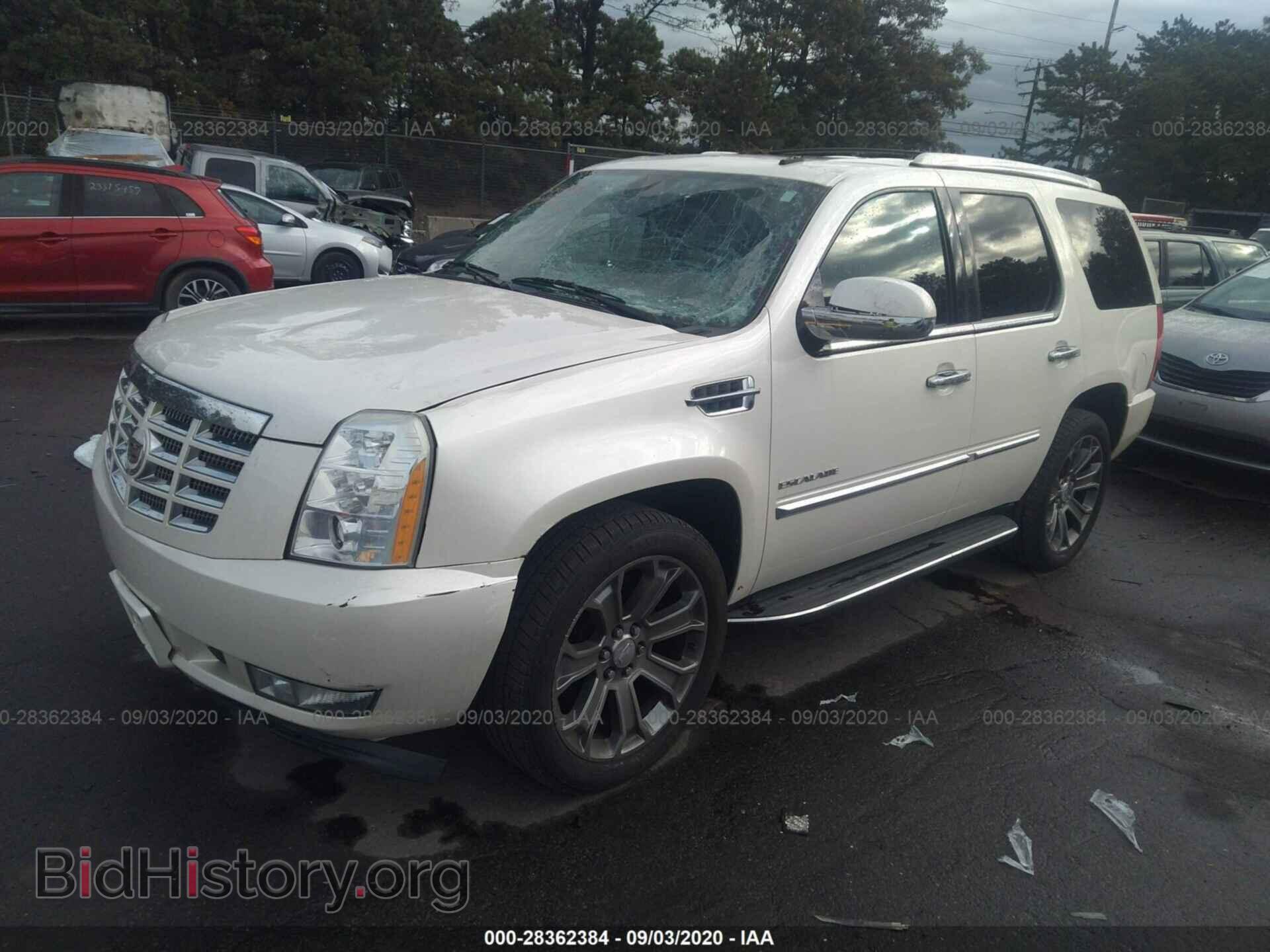 2010 CADILLAC ESCALADE - VIN: 1GYUKBEF5AR155493 - Фото 2