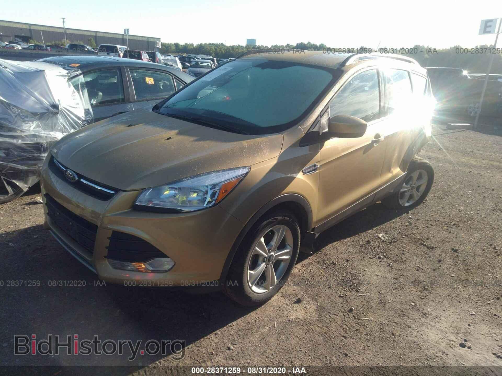 2014 FORD ESCAPE - VIN: 1FMCU0GX6EUB95313 - Фото 2