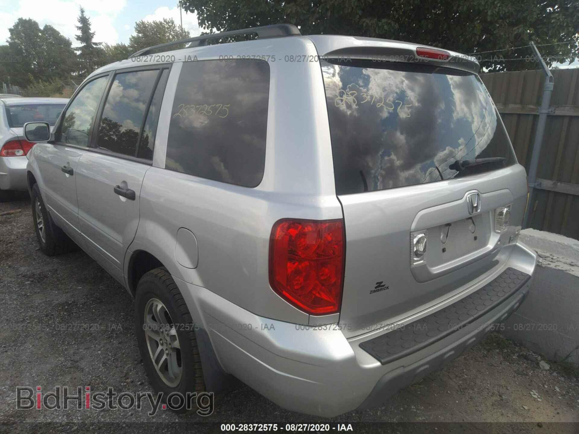2005 HONDA PILOT - VIN: 5FNYF18655B061577 - Фото 3
