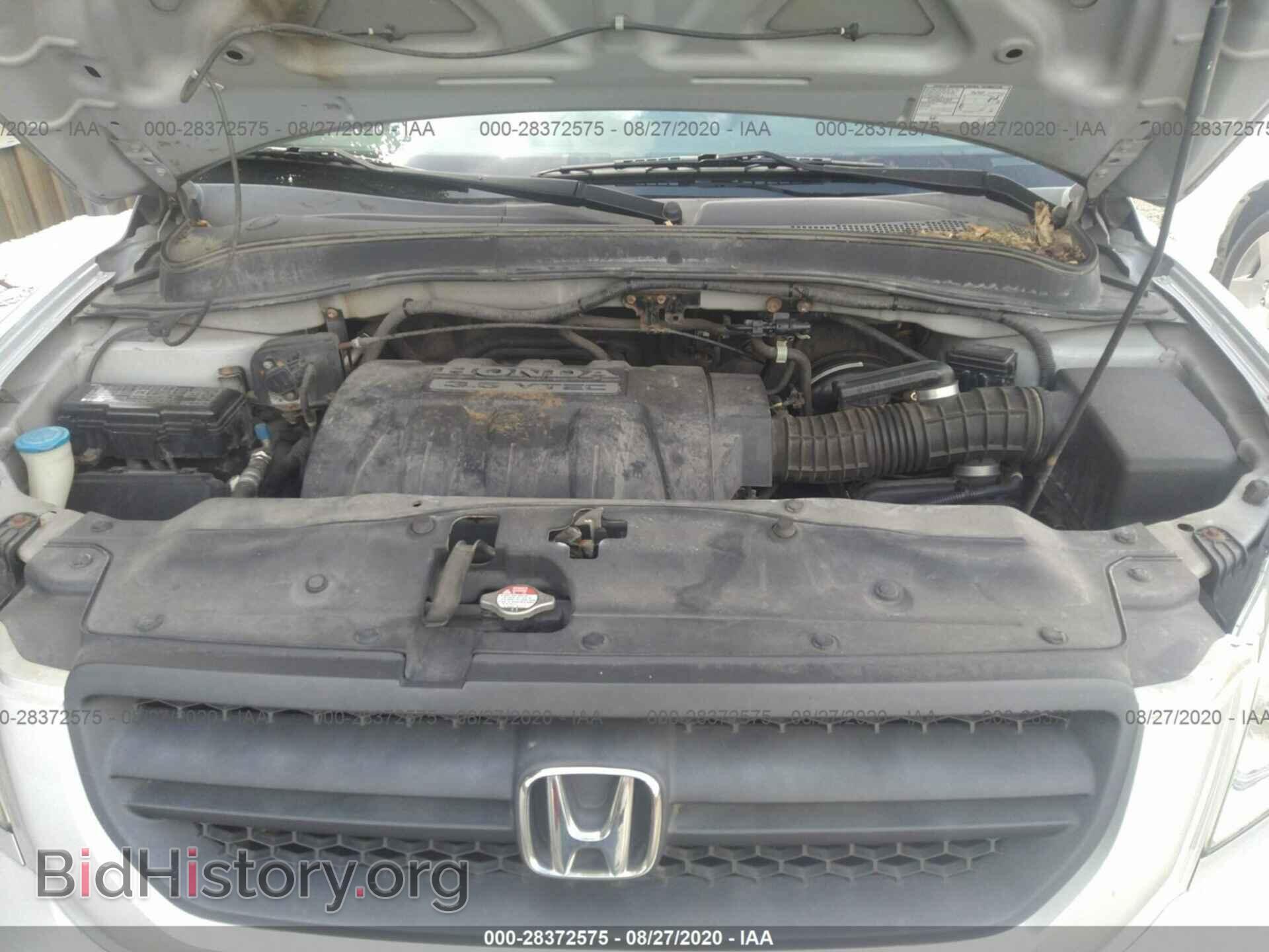 2005 HONDA PILOT - VIN: 5FNYF18655B061577 - Фото 10