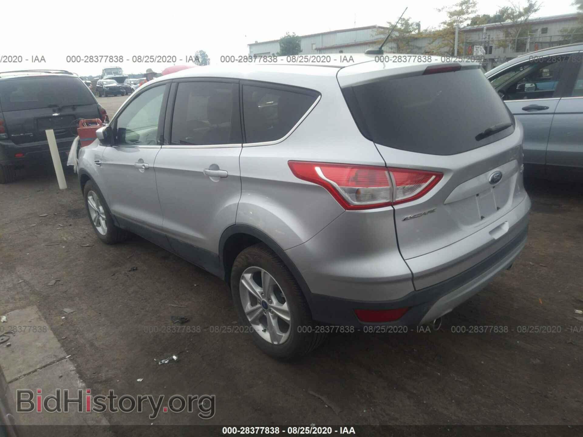 2013 FORD ESCAPE - VIN: 1FMCU0GX1DUB53274 - Фото 3