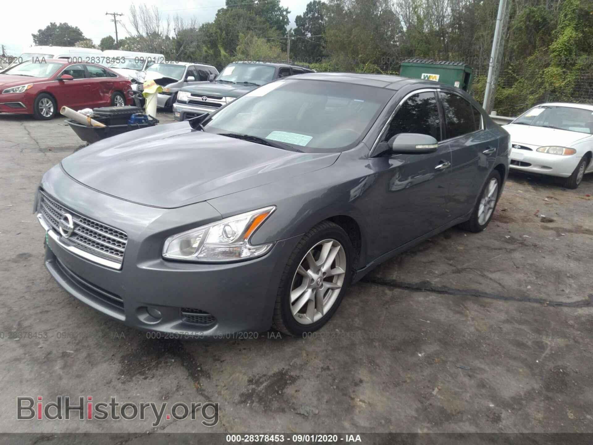 2011 NISSAN MAXIMA - VIN: 1N4AA5AP8BC831621 - Фото 2