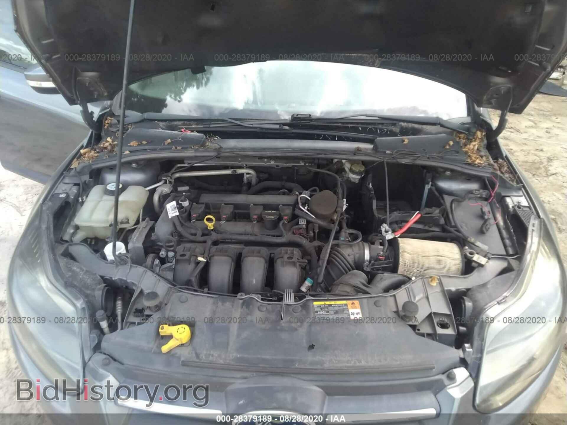 2013 FORD FOCUS - VIN: 1FADP3K21DL338644 - Фото 10