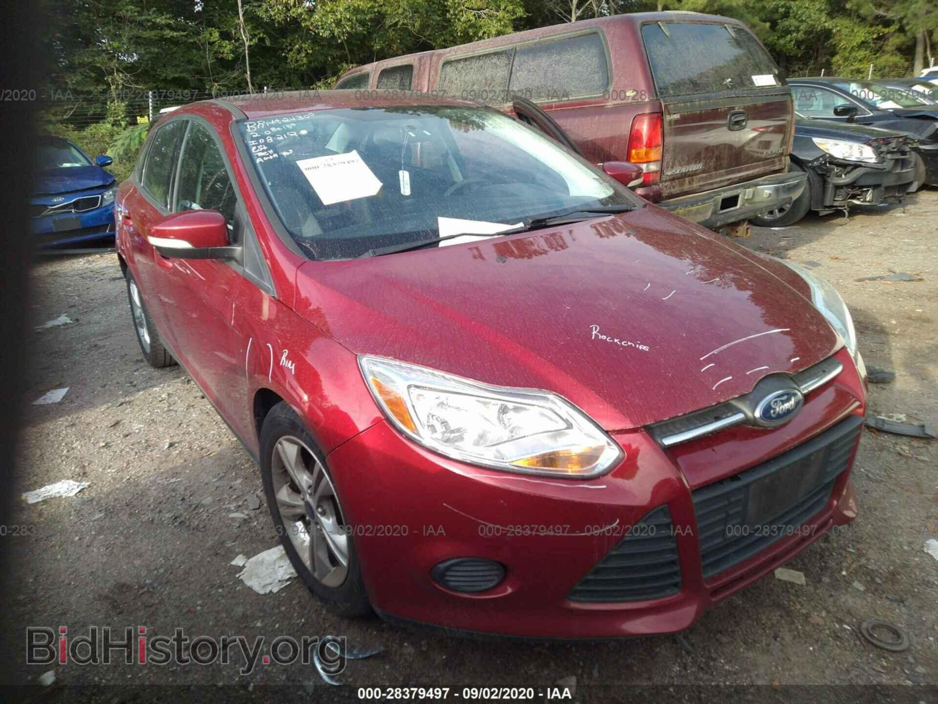 Photo 1FADP3F20DL343246 - FORD FOCUS 2013