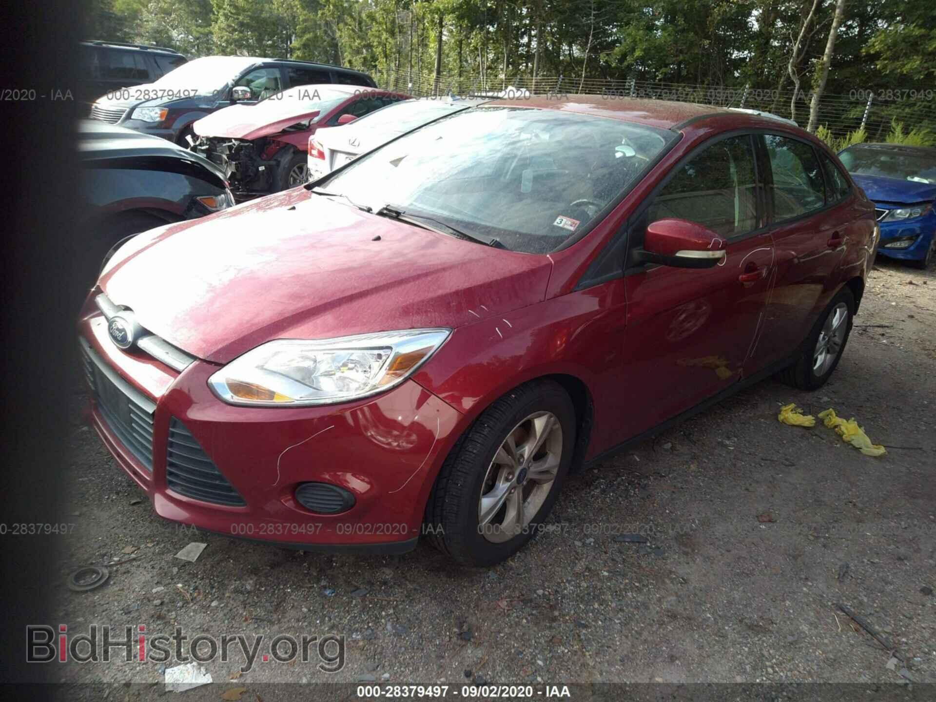 2013 FORD FOCUS - VIN: 1FADP3F20DL343246 - Фото 2