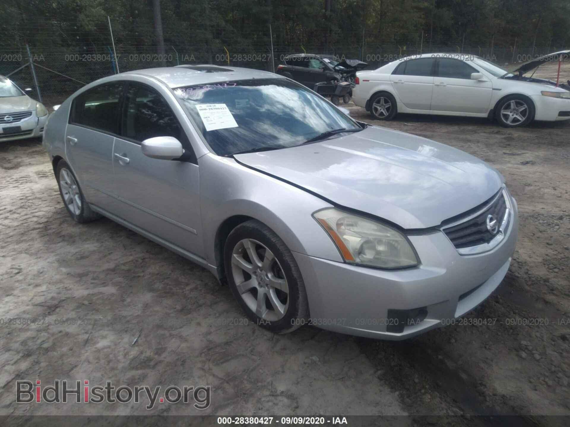 Фотография 1N4BA41E18C801124 - NISSAN MAXIMA 2008
