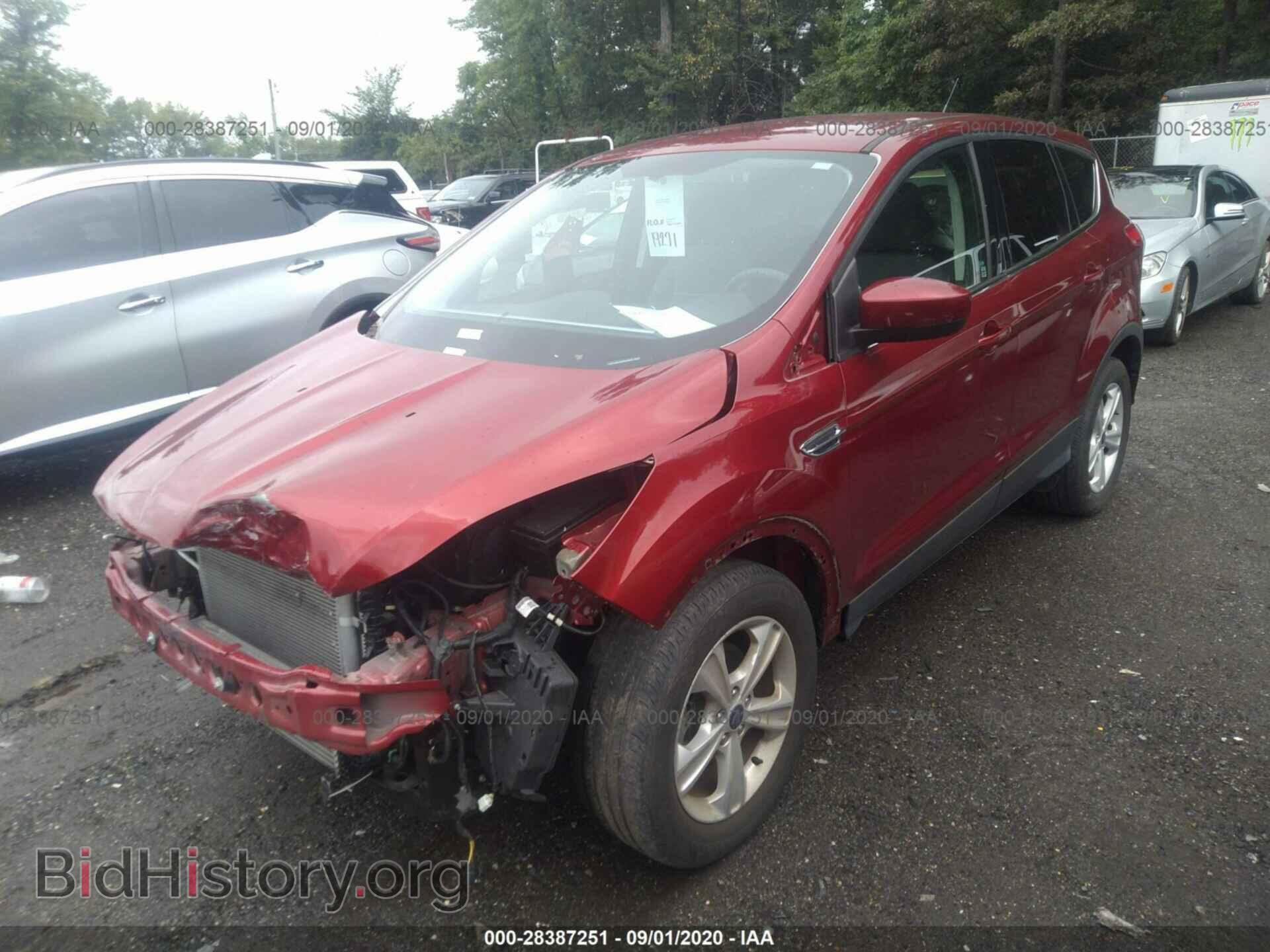 2014 FORD ESCAPE - VIN: 1FMCU0GX5EUE48038 - Фото 2