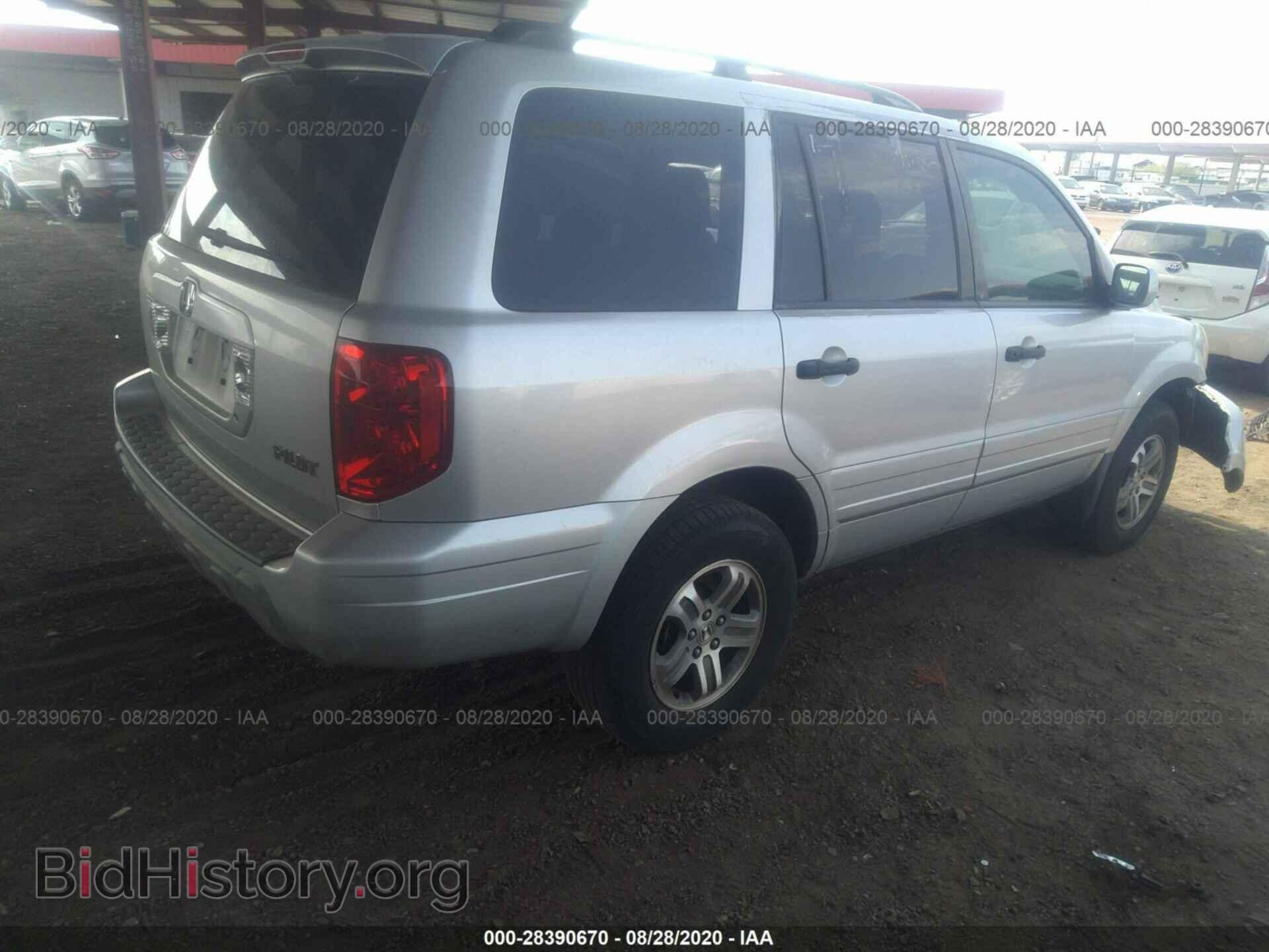 2005 HONDA PILOT - VIN: 5FNYF18405B028095 - Фото 4