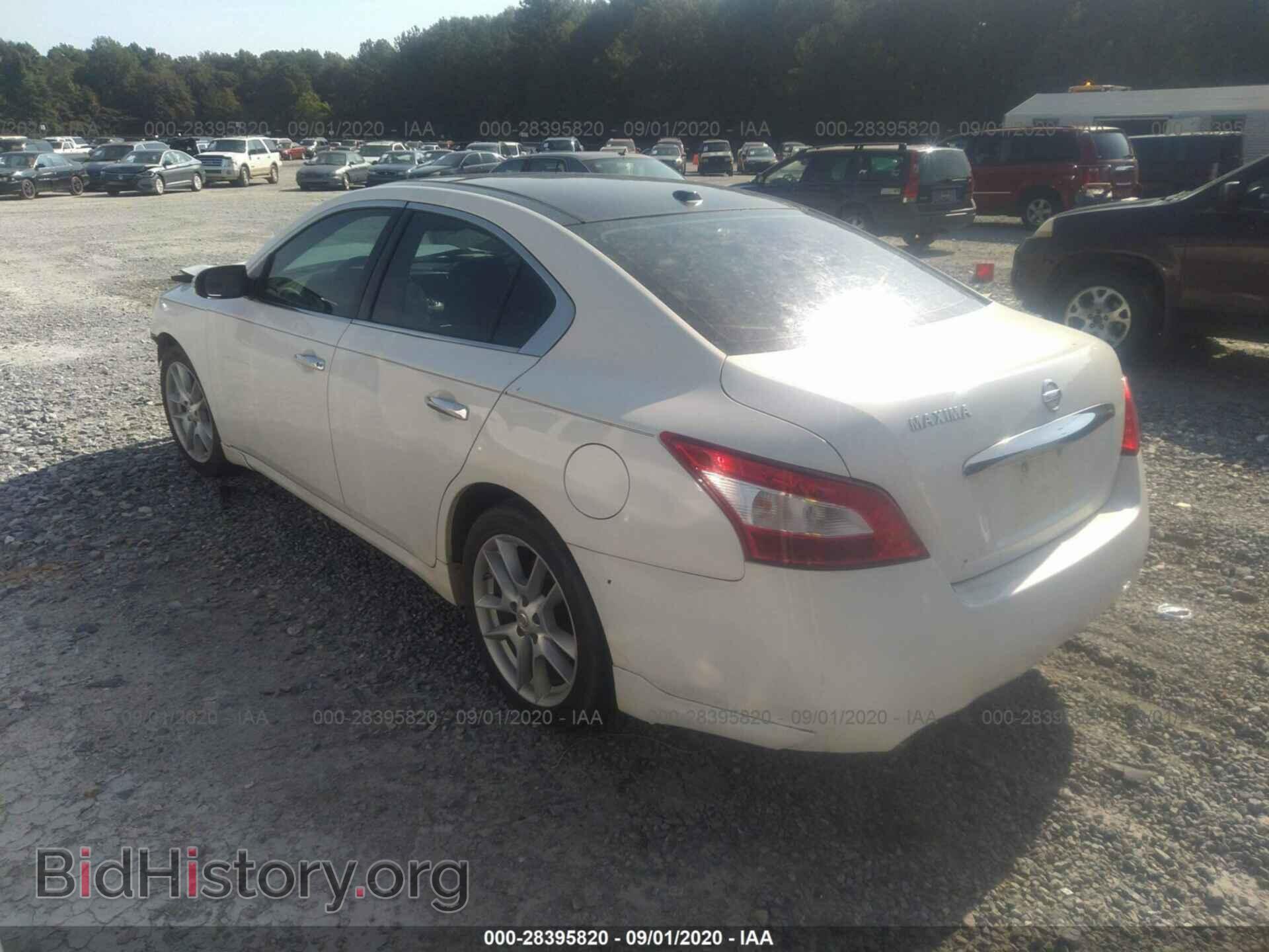 2009 NISSAN MAXIMA - VIN: 1N4AA51E39C859187 - Фото 3