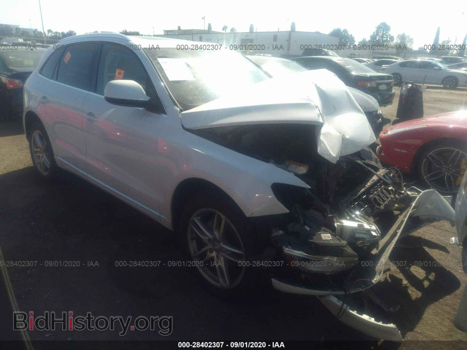 Photo WA1LFAFP8DA092880 - AUDI Q5 2013