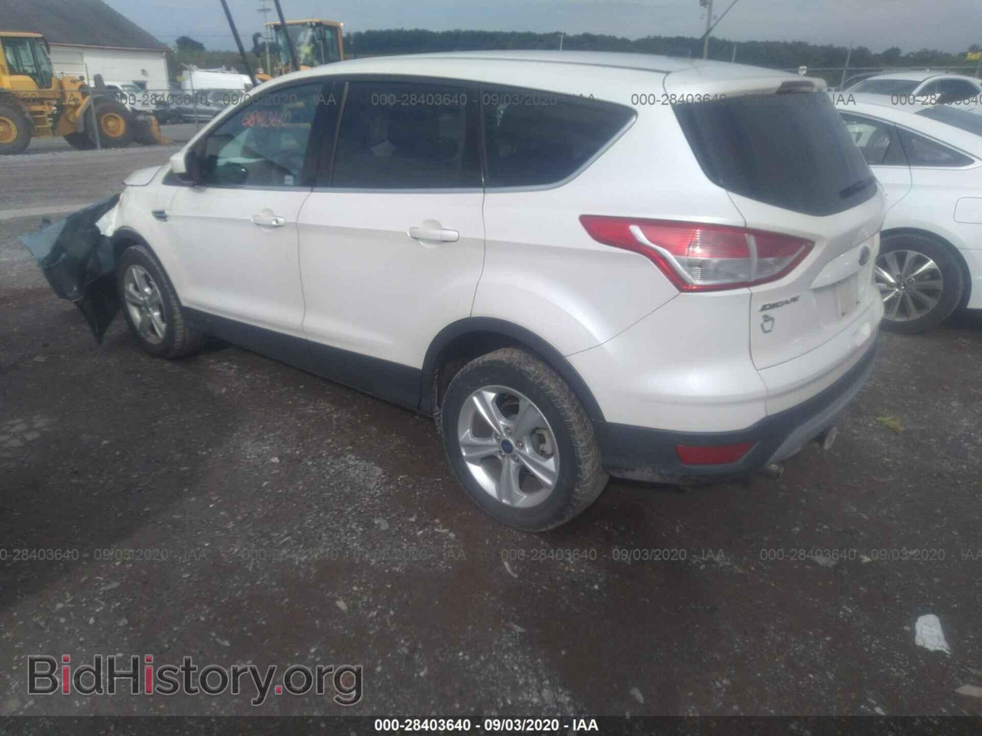 2013 FORD ESCAPE - VIN: 1FMCU9GX4DUD14835 - Фото 3