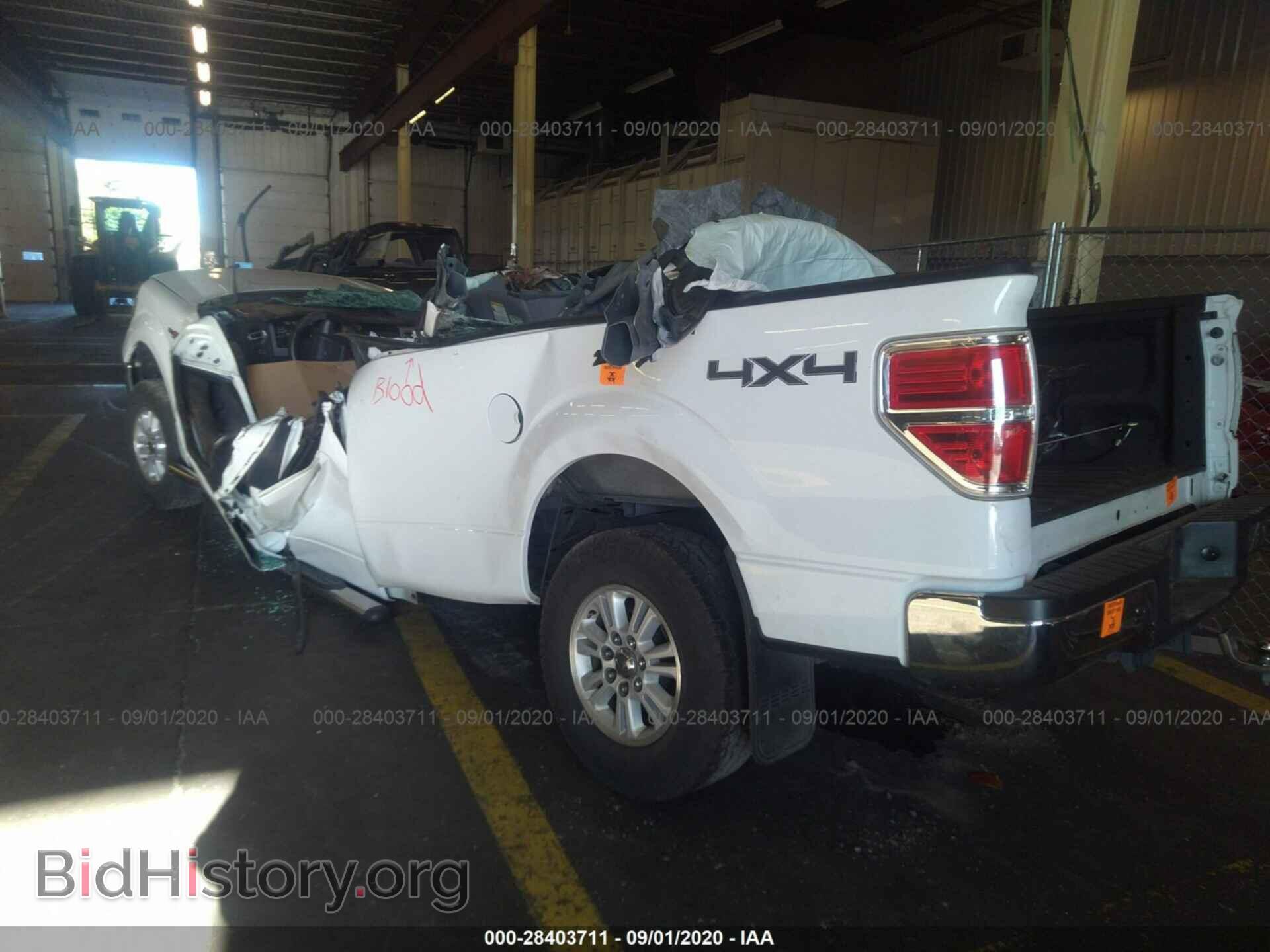2012 FORD F-150 - VIN: 1FTVX1ET1CKE01110 - Фото 3