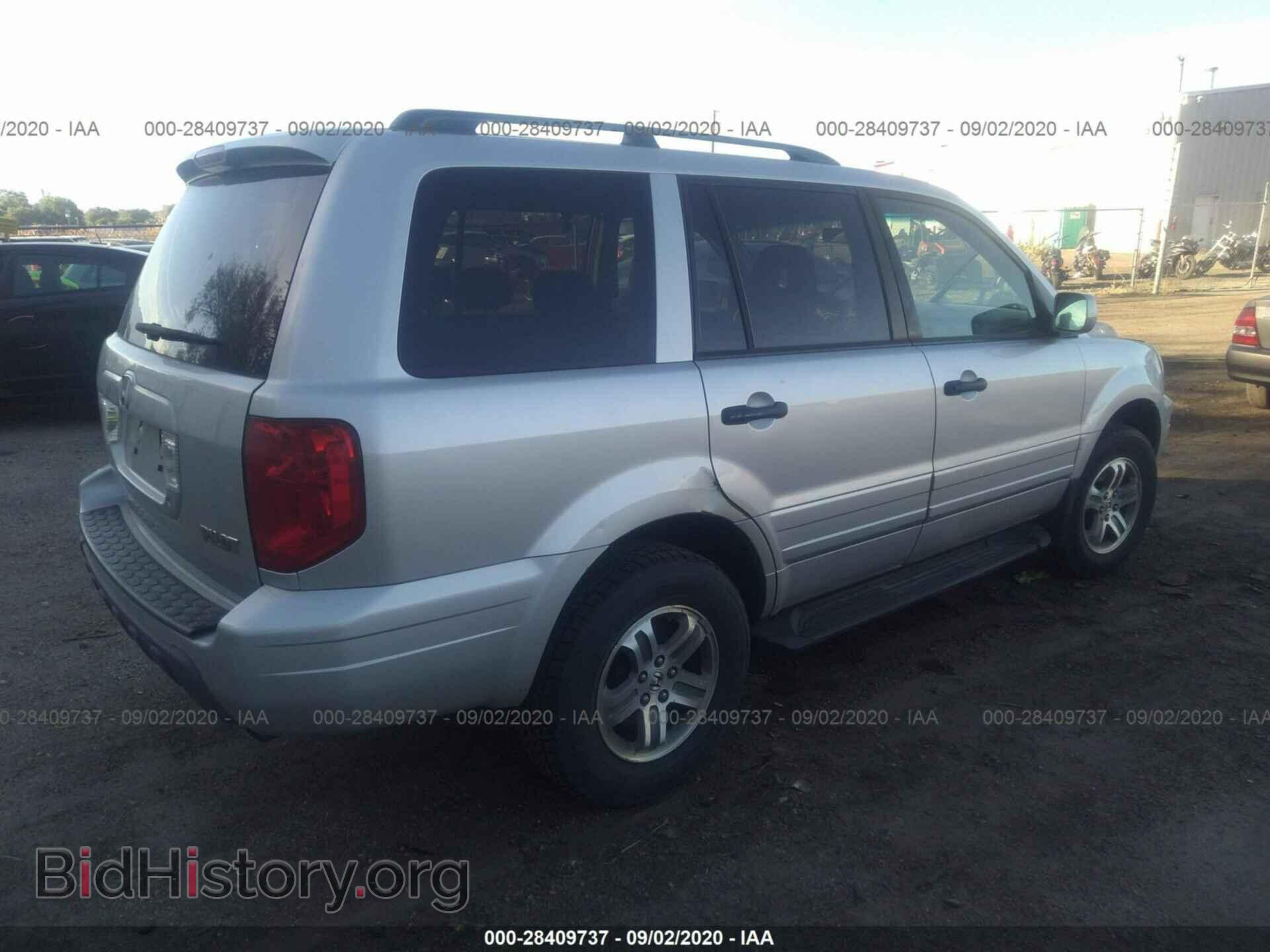 2005 HONDA PILOT - VIN: 5FNYF18455B024043 - Фото 4