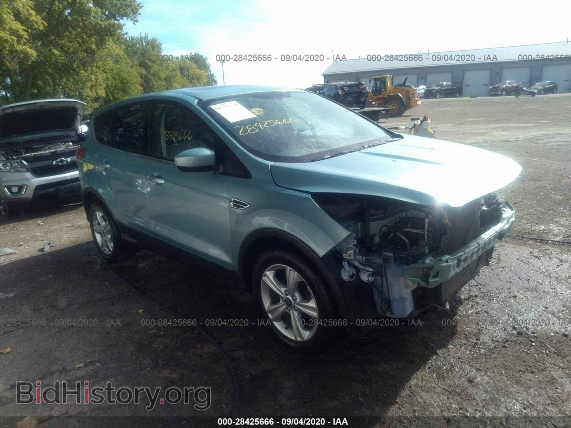 Photo 1FMCU0GX4DUD00395 - FORD ESCAPE 2013