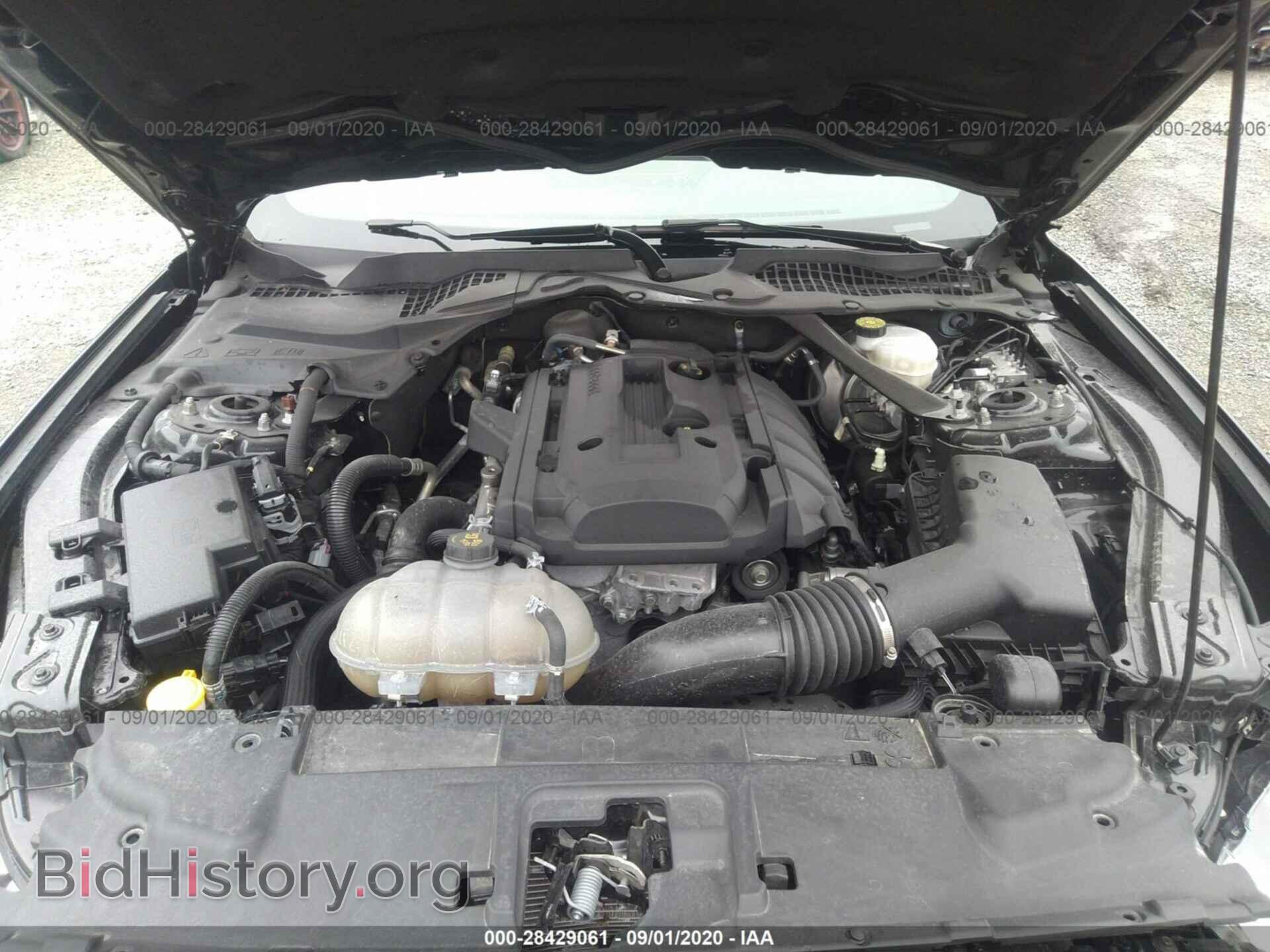 2019 FORD MUSTANG - VIN: 1FATP8UH7K5161464 - Фото 10