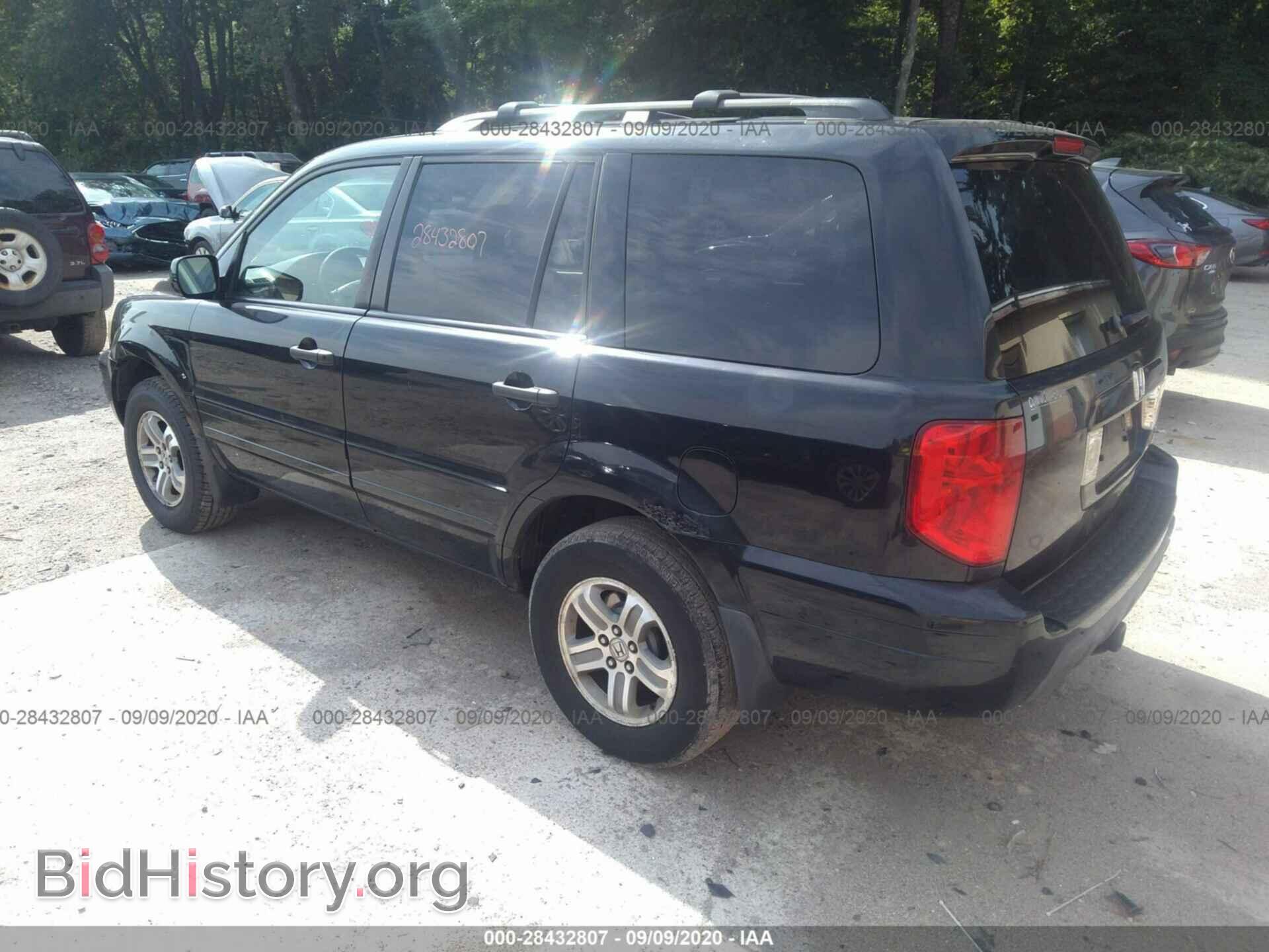 2005 HONDA PILOT - VIN: 2HKYF18655H501928 - Фото 3