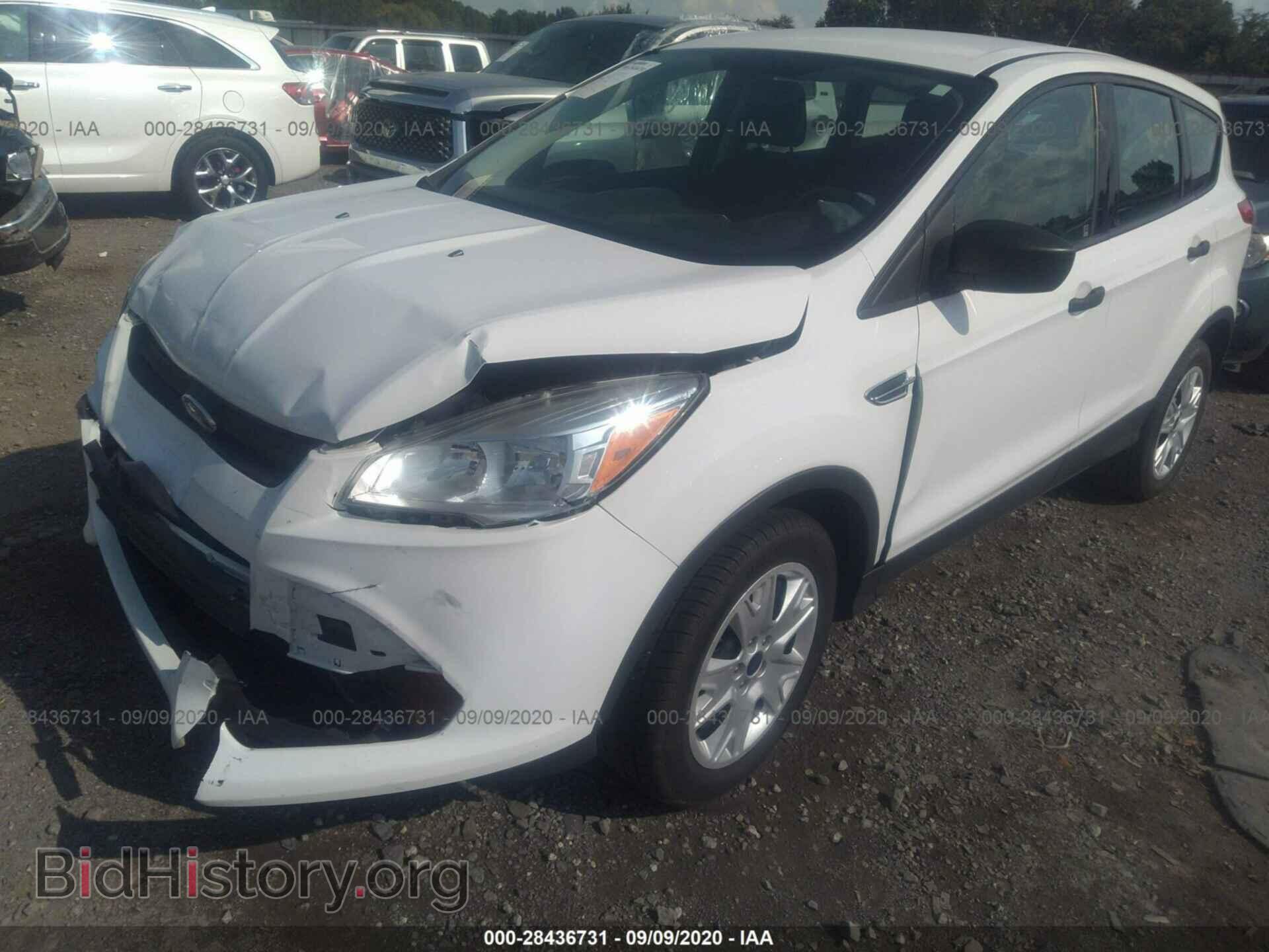 2013 FORD ESCAPE - VIN: 1FMCU0F79DUC99004 - Photo 2